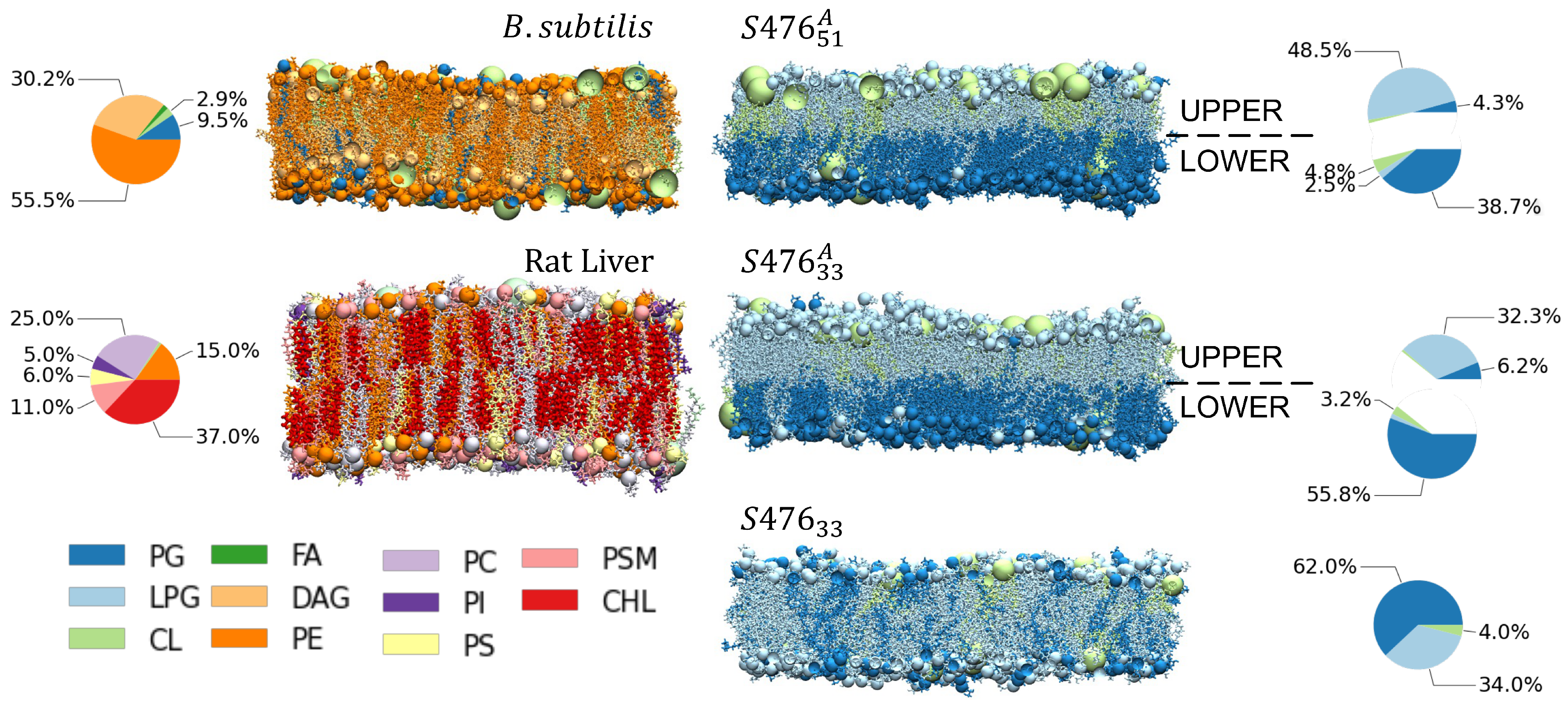 Membranes 13 00139 g001 Membranes 13 00139 g001