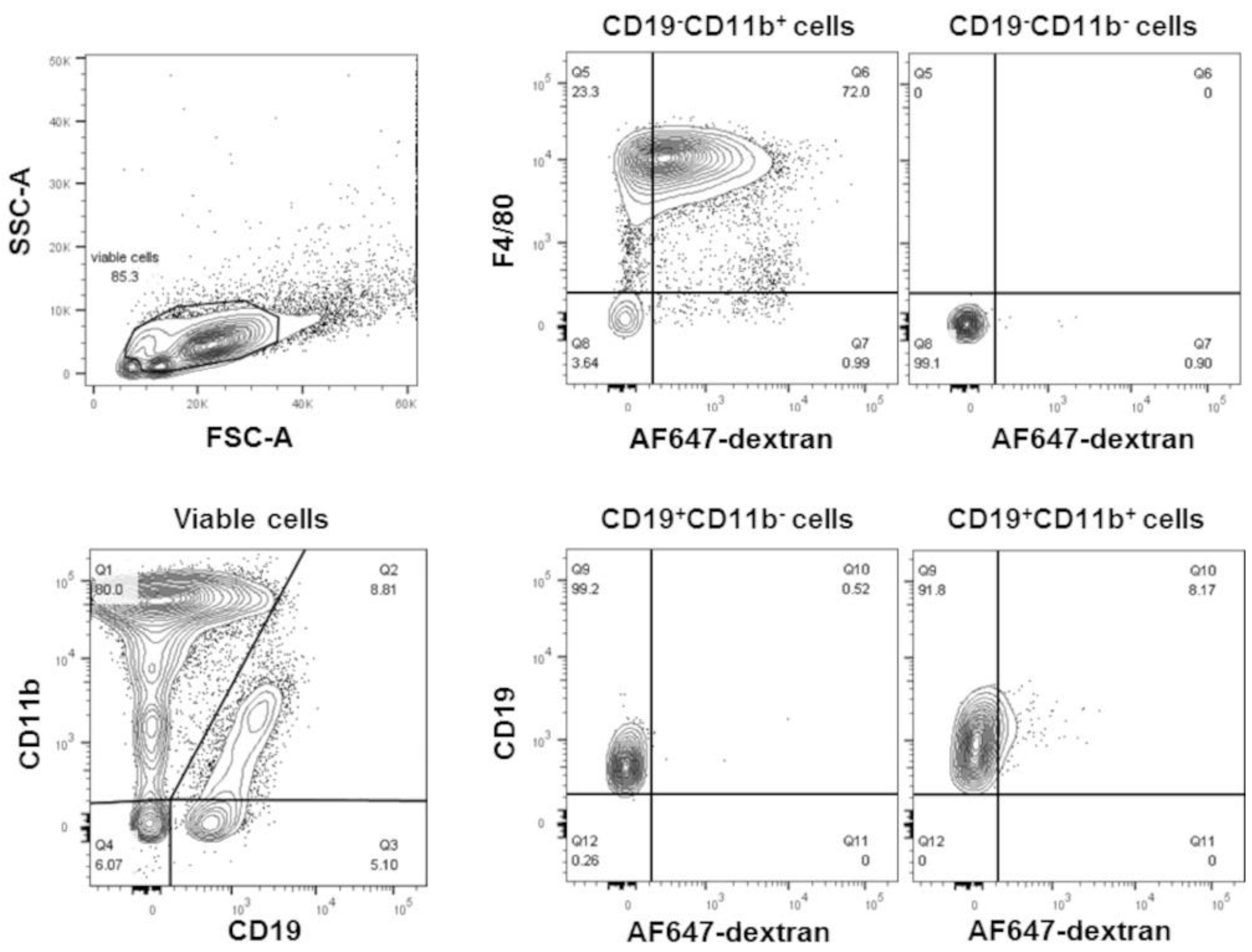 Membranes 13 00141 g001