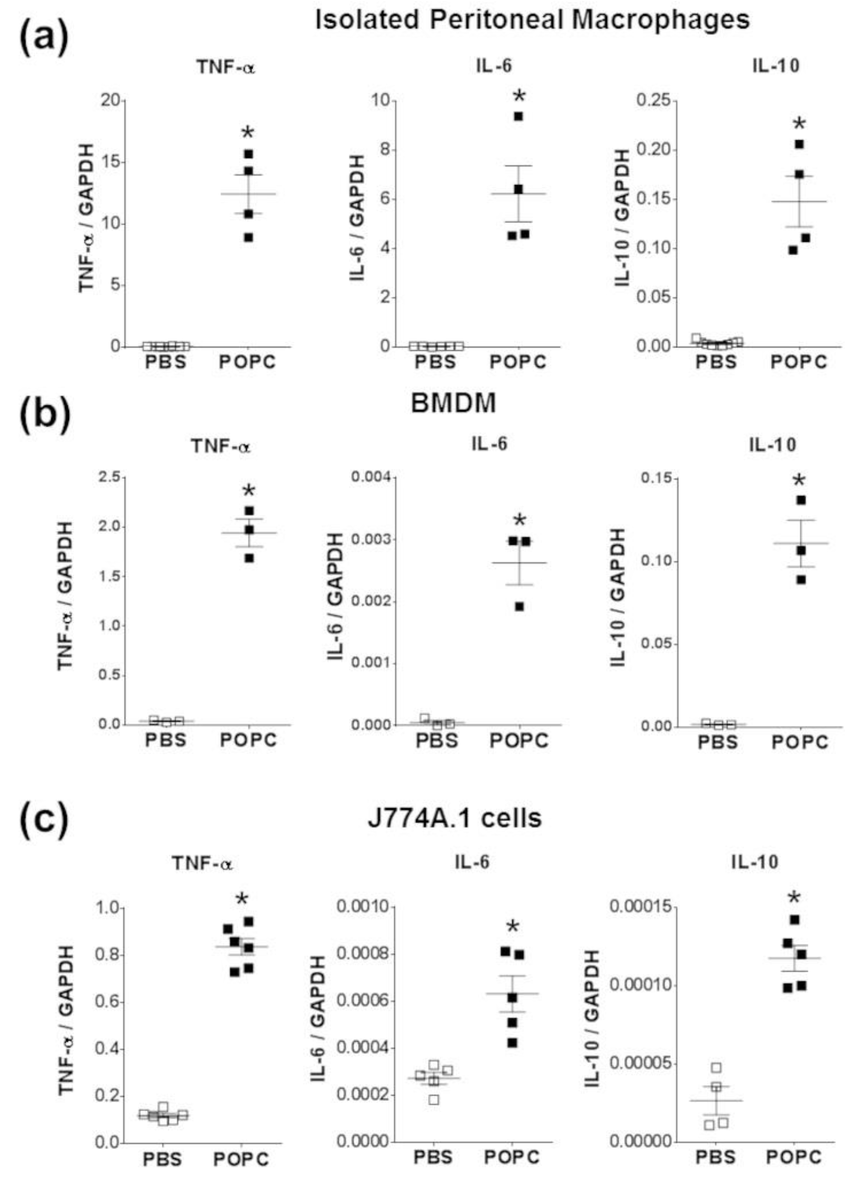 Membranes 13 00141 g007