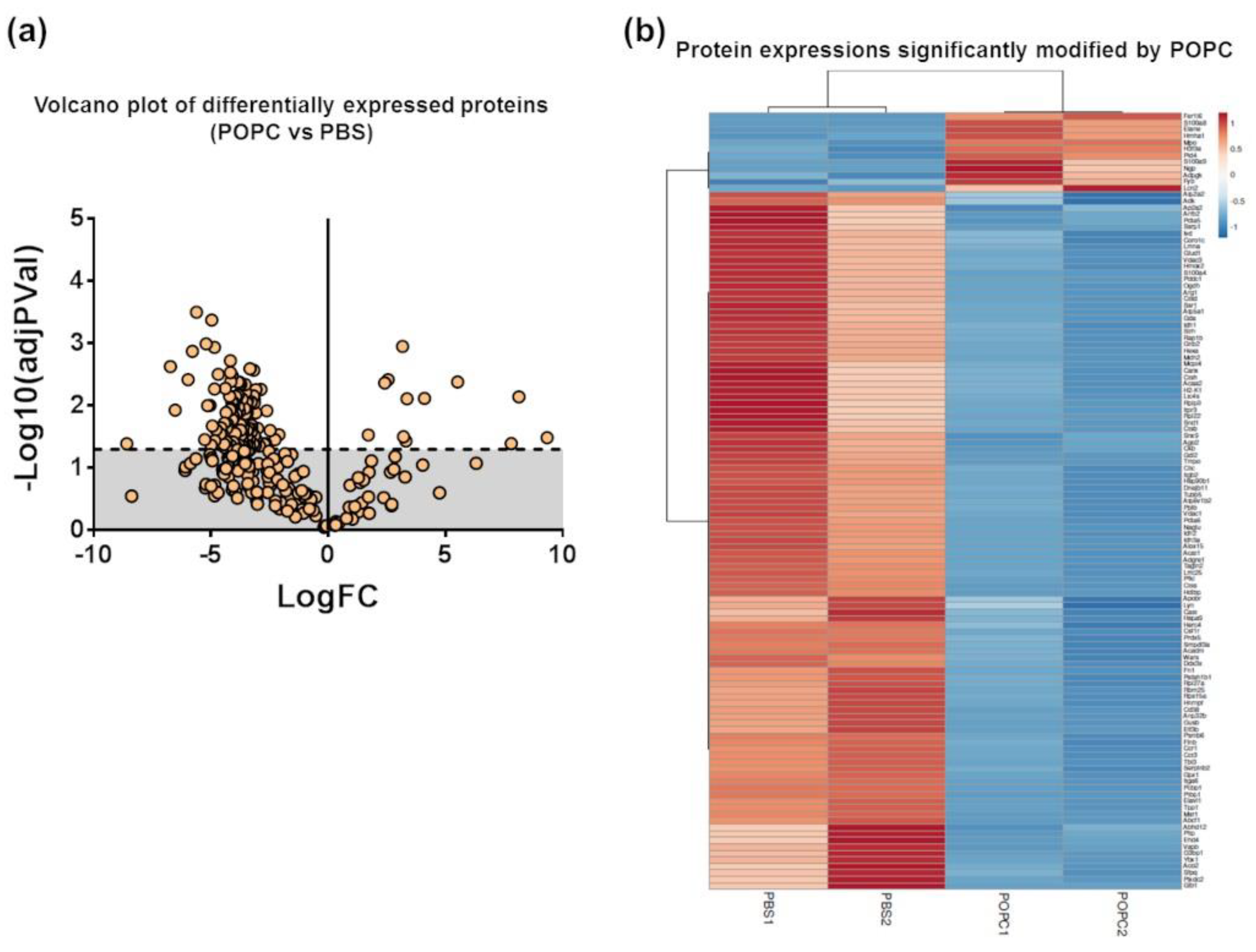 Membranes 13 00141 g009a