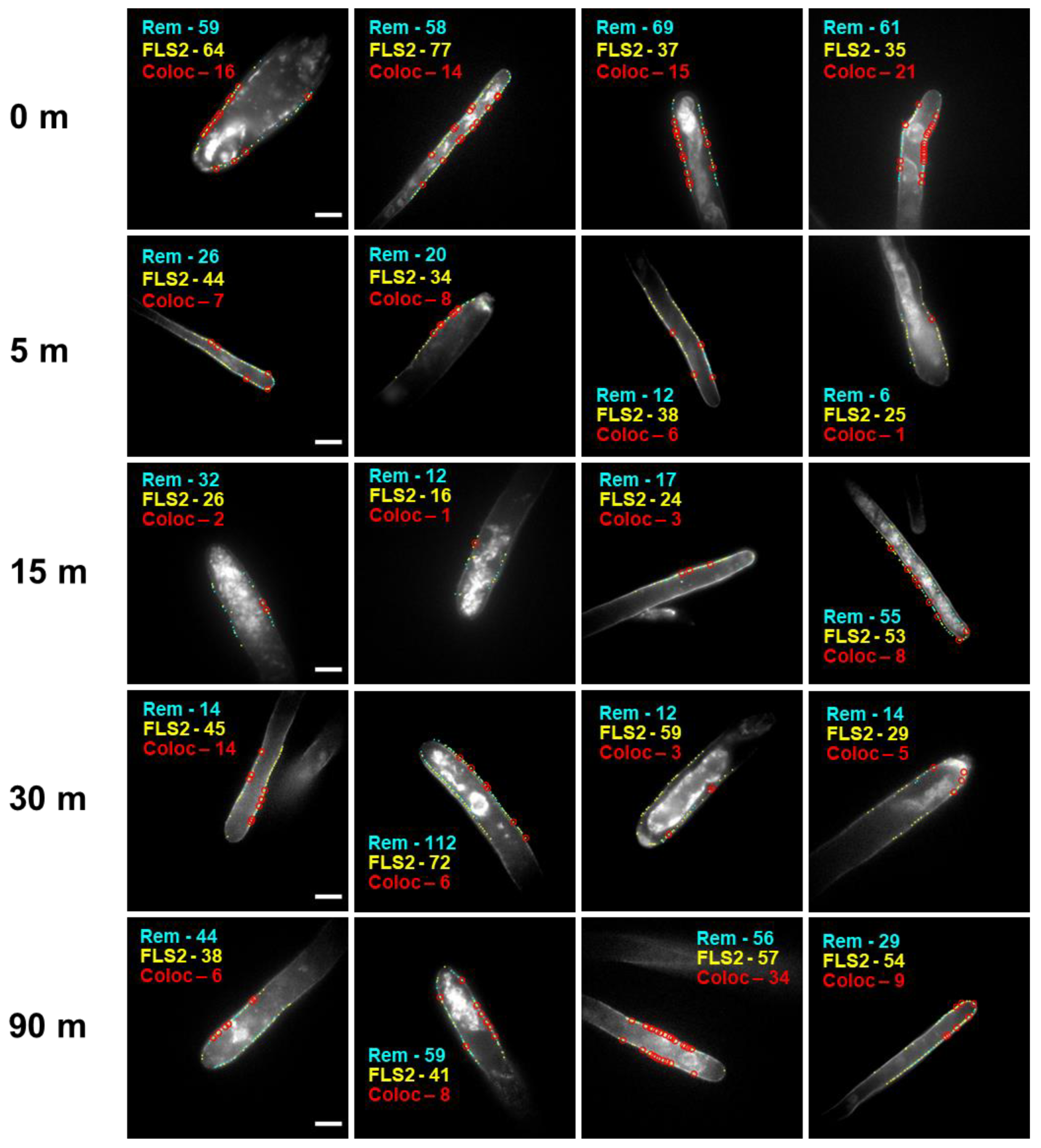 Membranes 13 00142 g001 Membranes 13 00142 g001