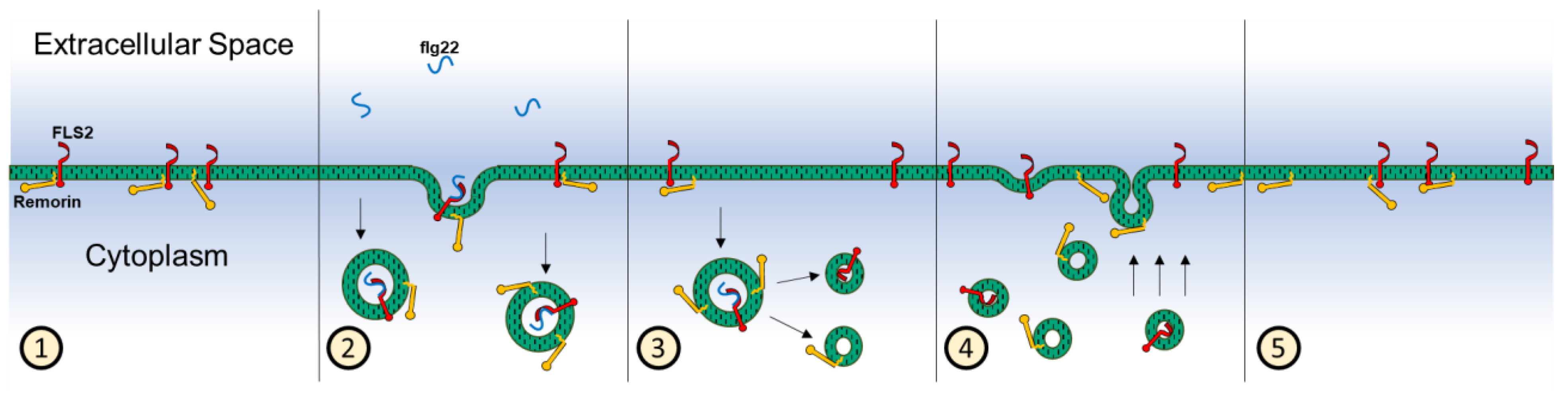 Membranes 13 00142 g008 Membranes 13 00142 g008