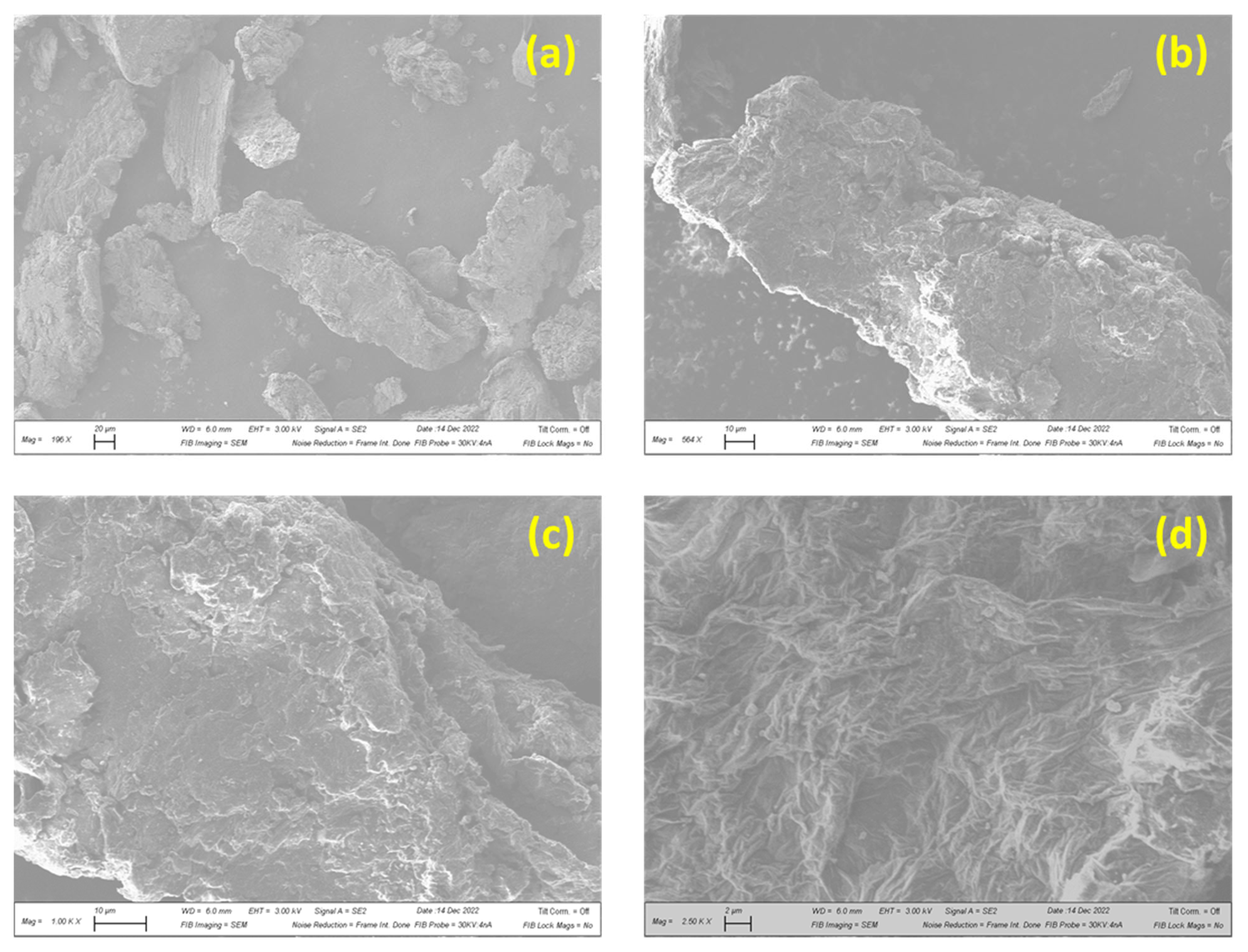 Membranes 13 00143 g004 Membranes 13 00143 g004