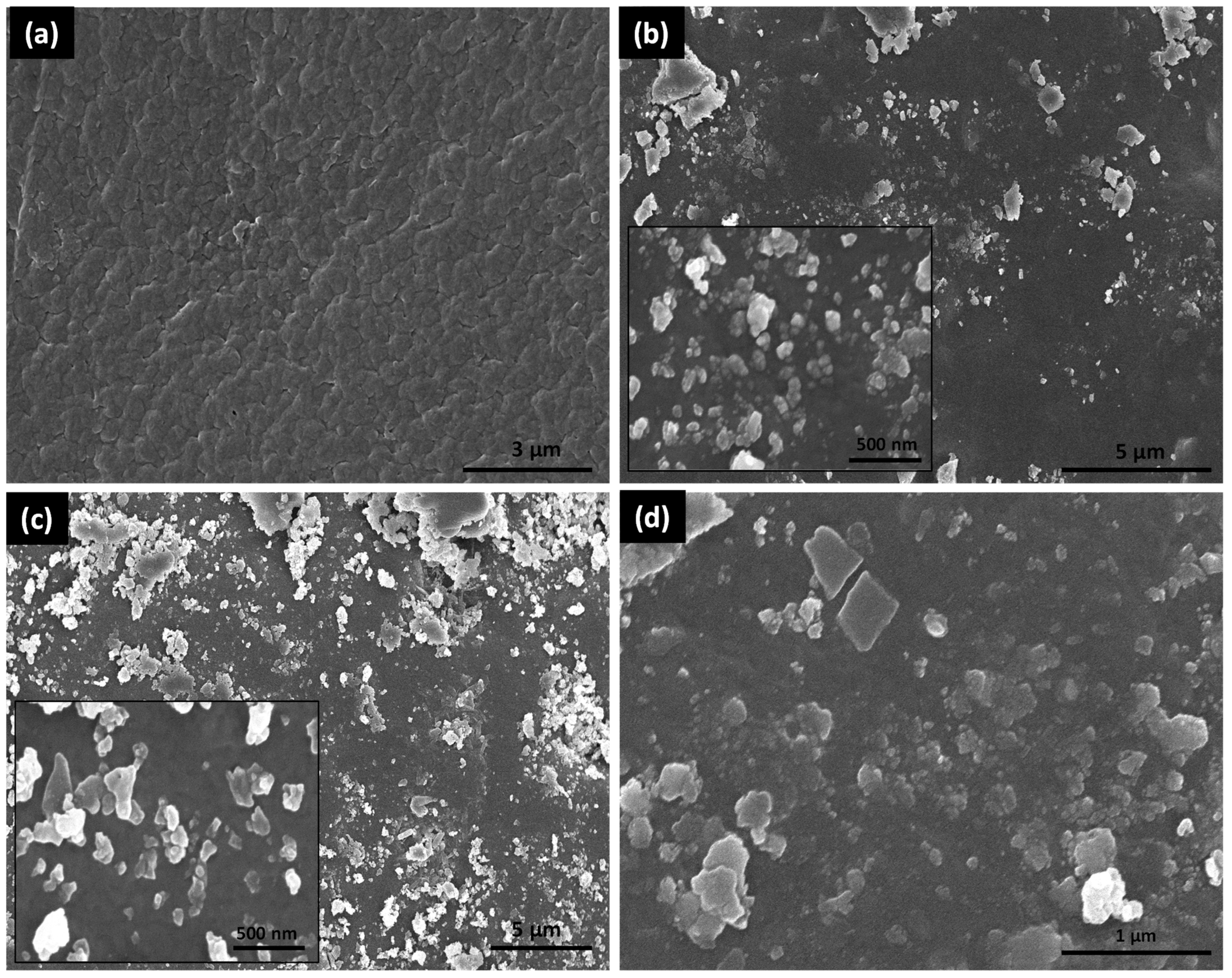 Membranes 13 00144 g003 Membranes 13 00144 g003