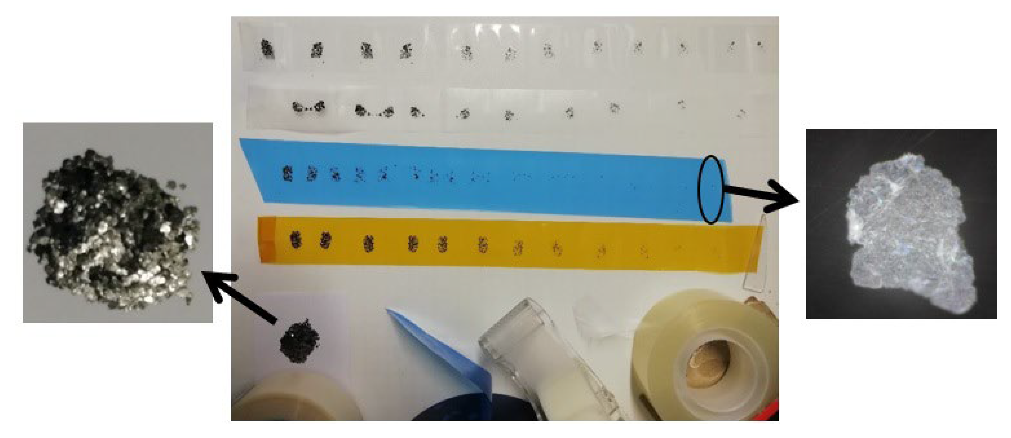Membranes 13 00145 g004