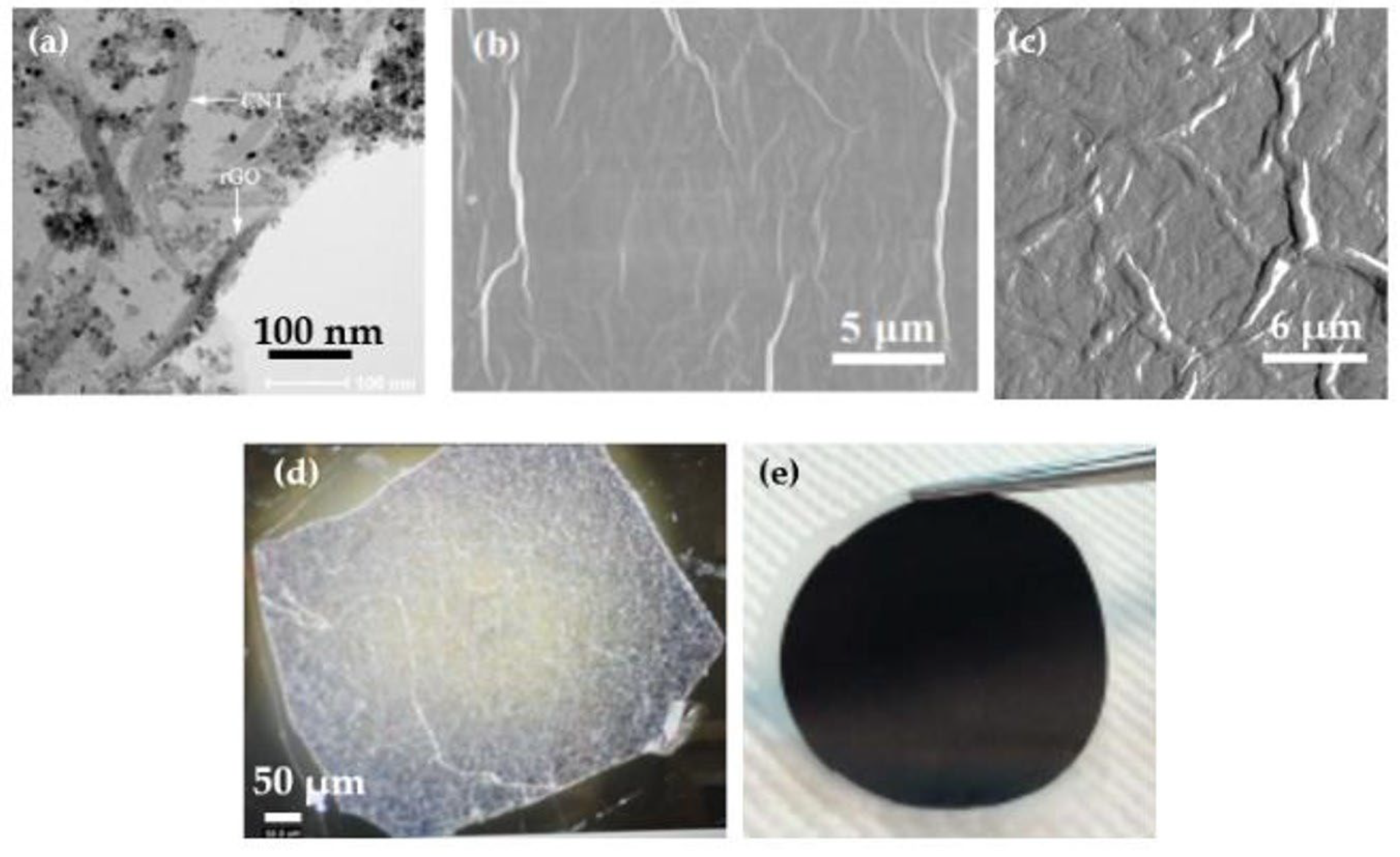 Membranes 13 00145 g008