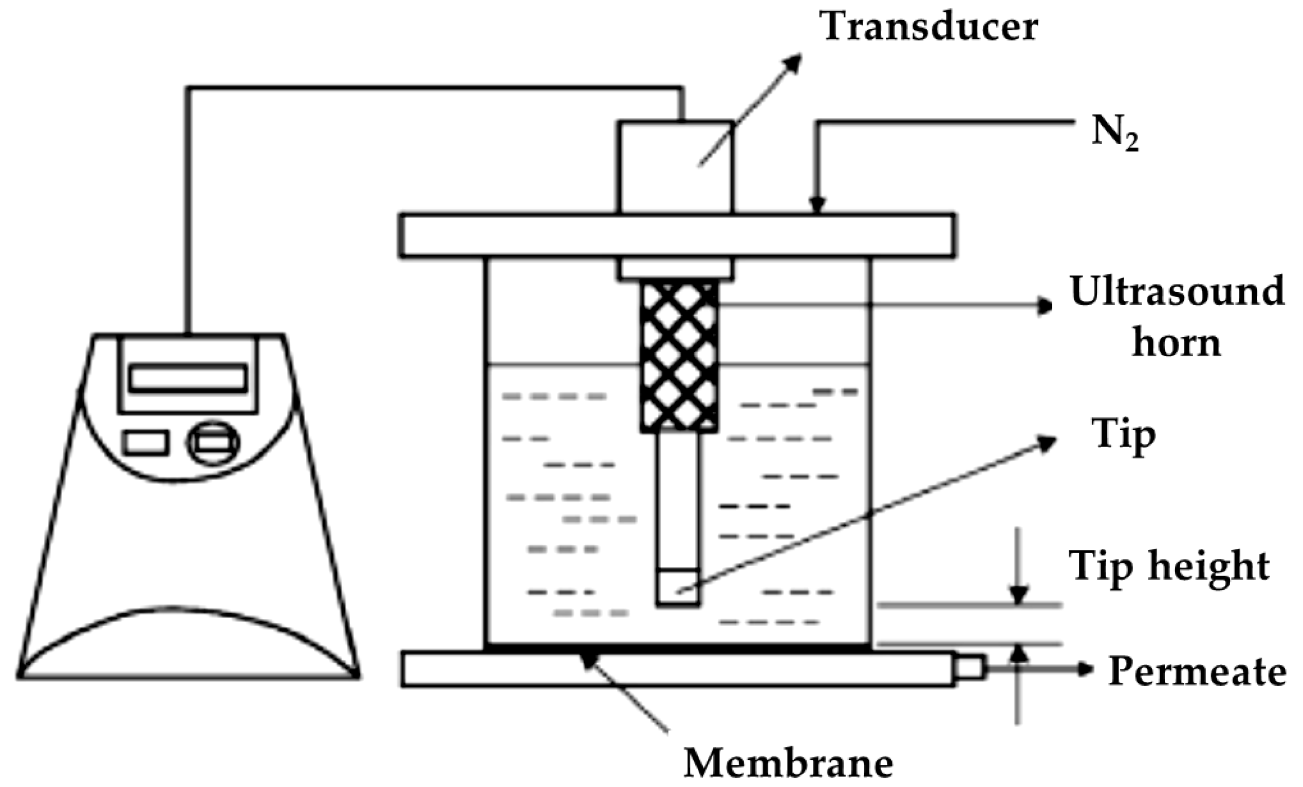 Membranes 13 00145 g011