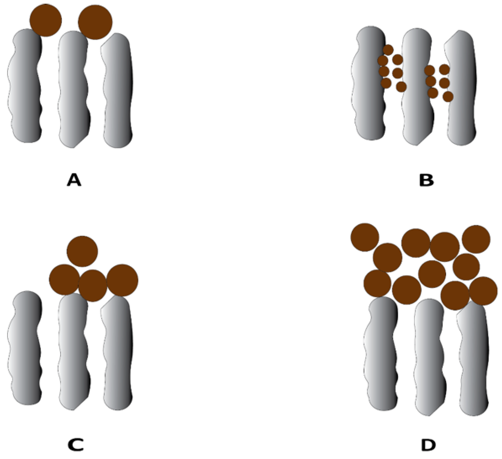 Membranes 13 00147 g001