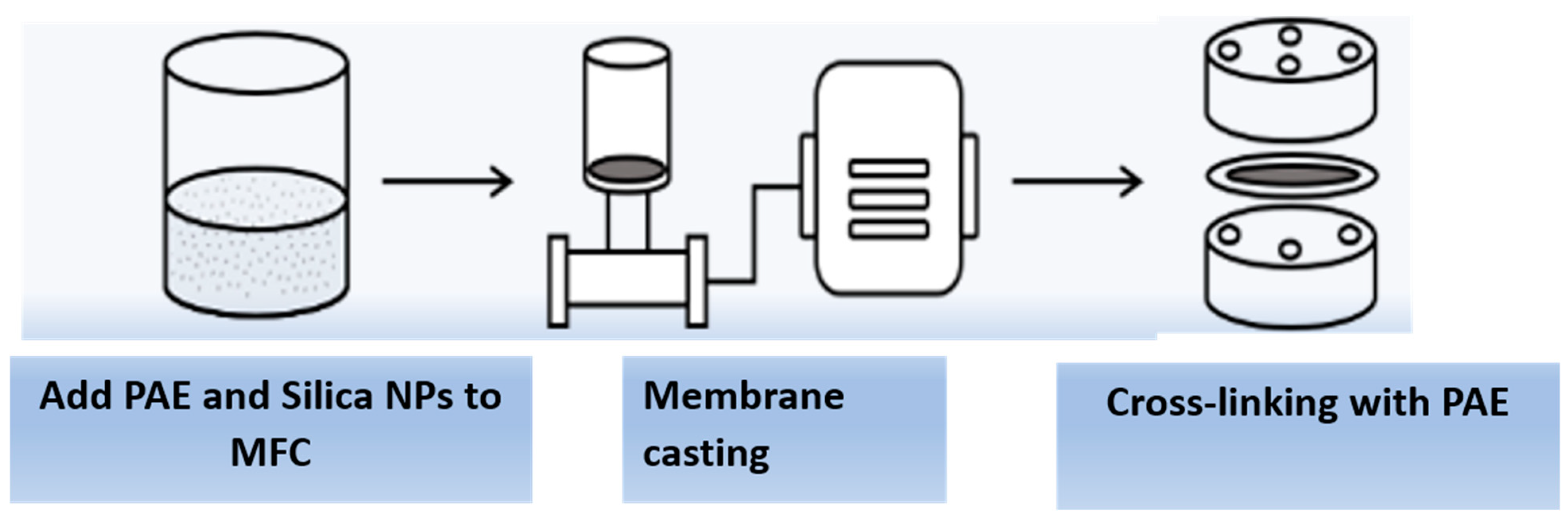 Membranes 13 00147 g002
