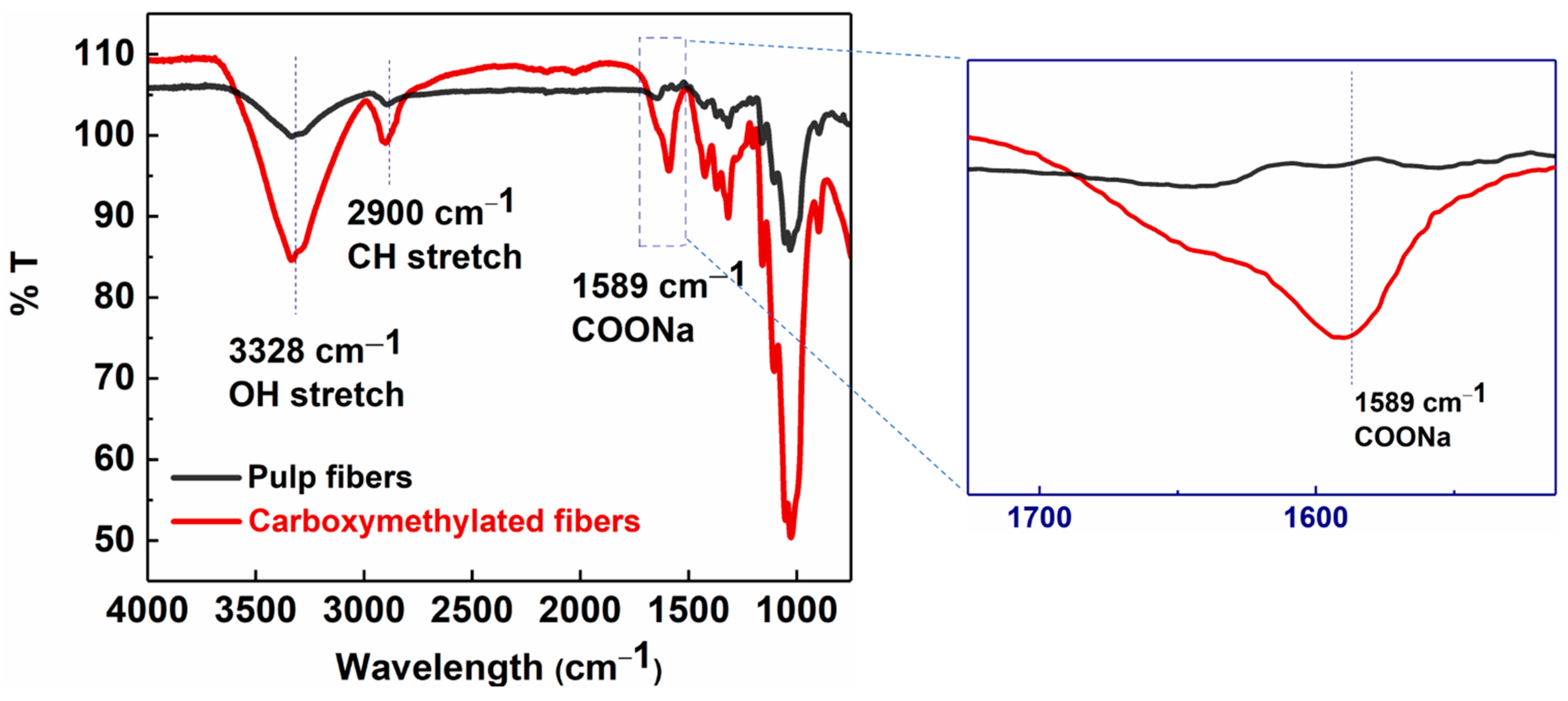 Membranes 13 00147 g003