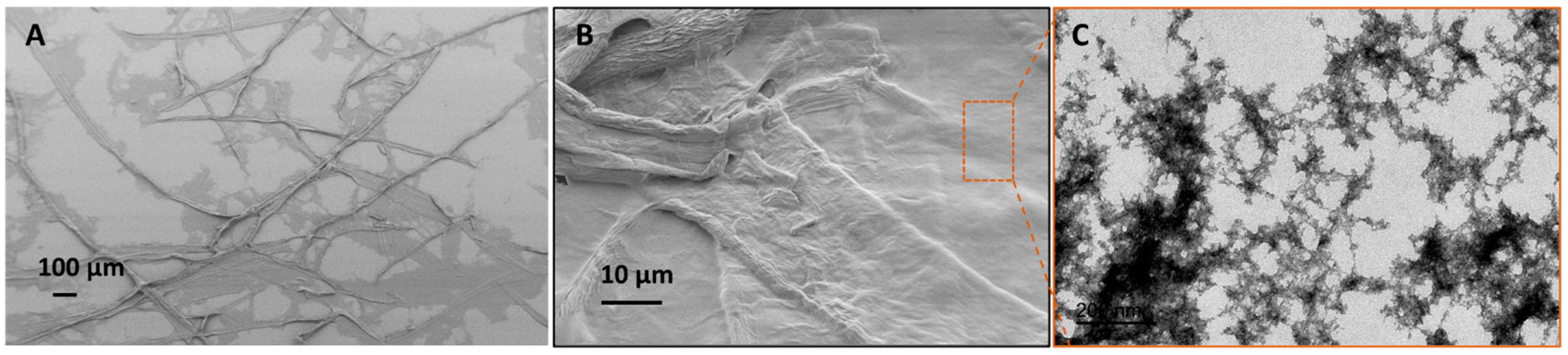 Membranes 13 00147 g004