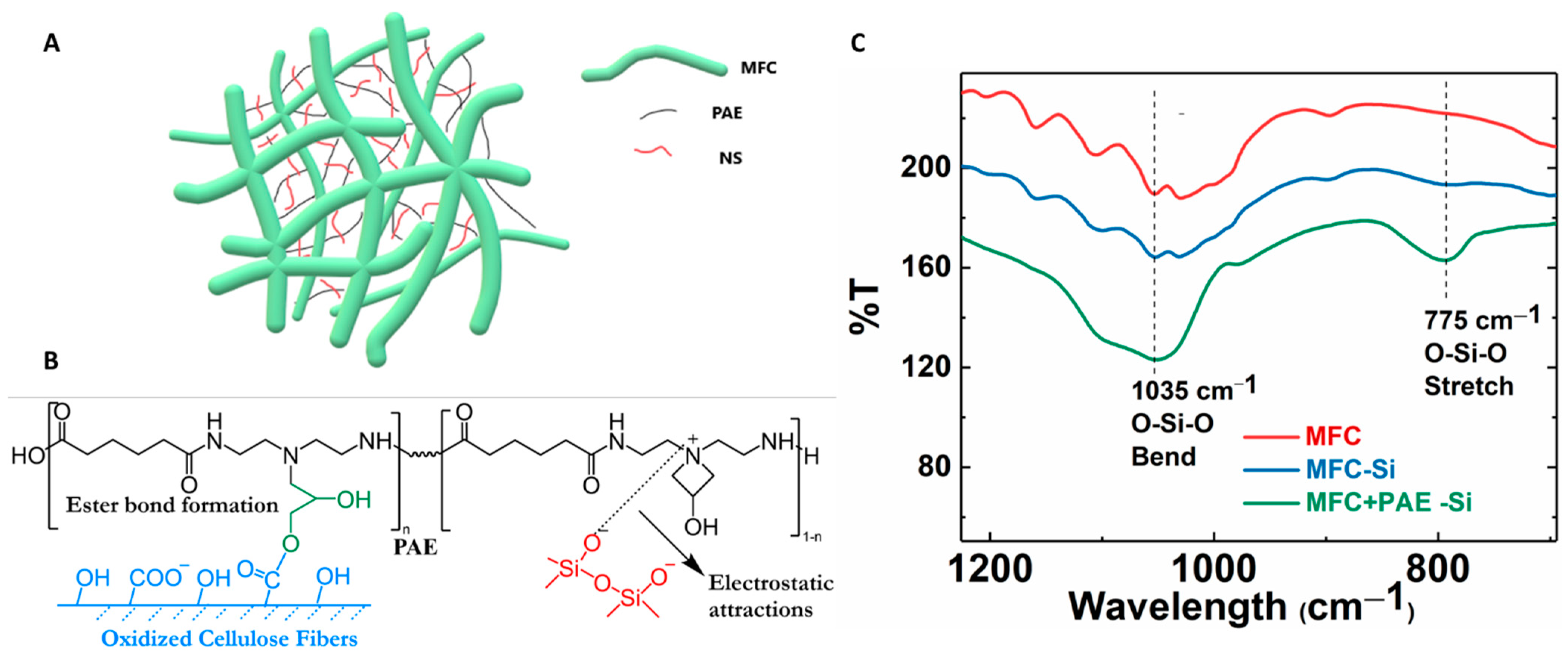 Membranes 13 00147 g009