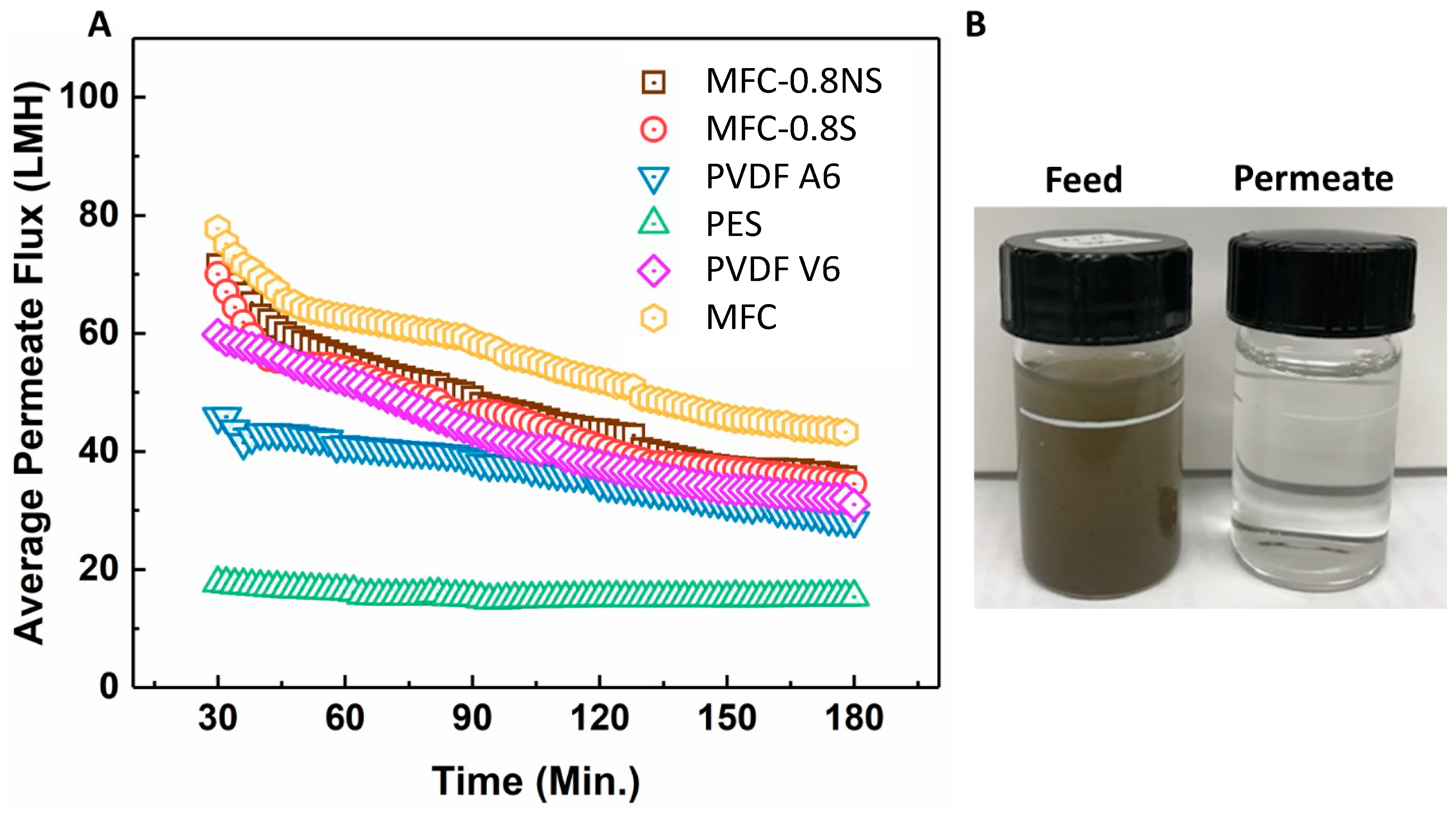 Membranes 13 00147 g010