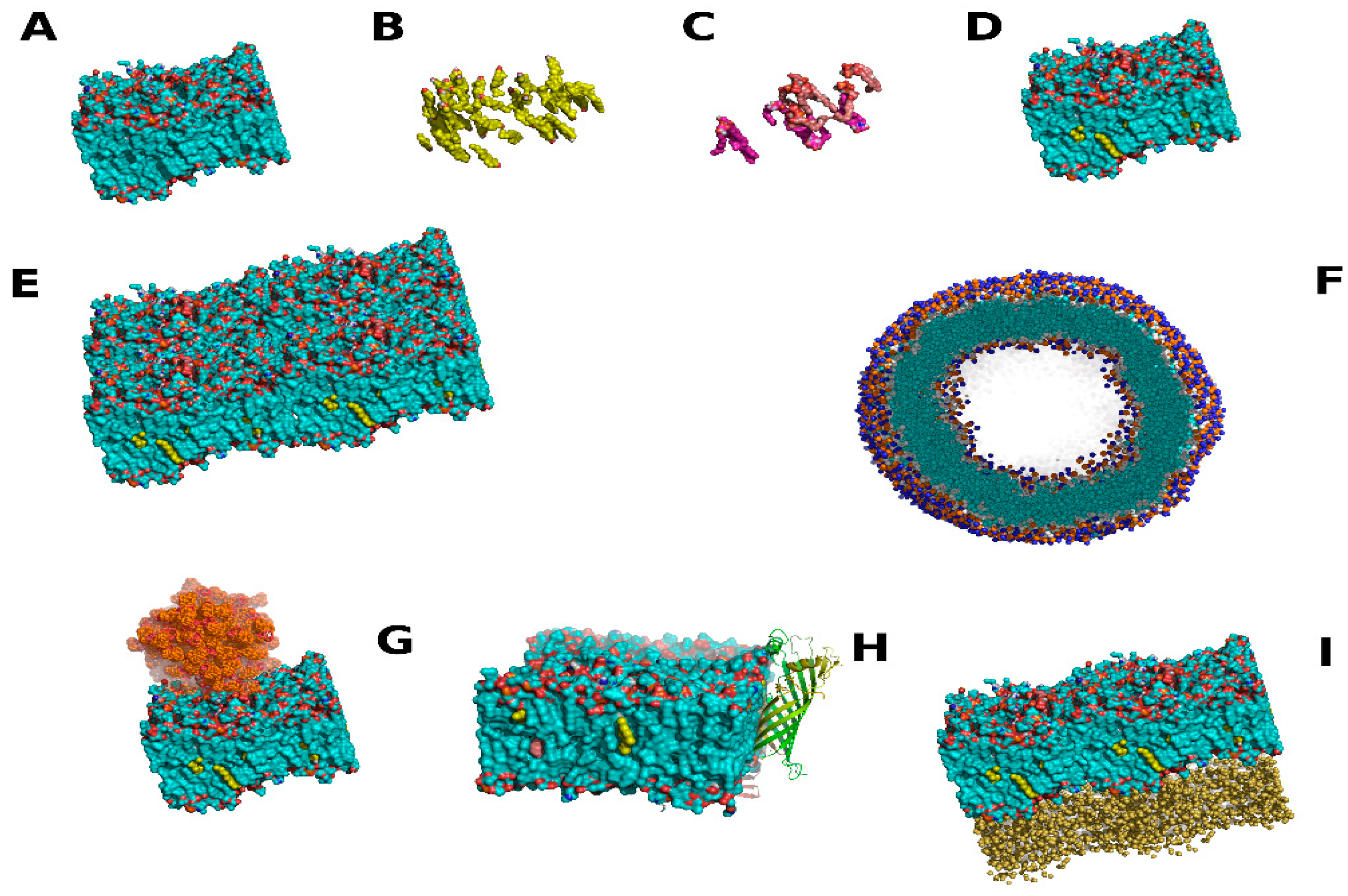 Membranes 13 00148 g003