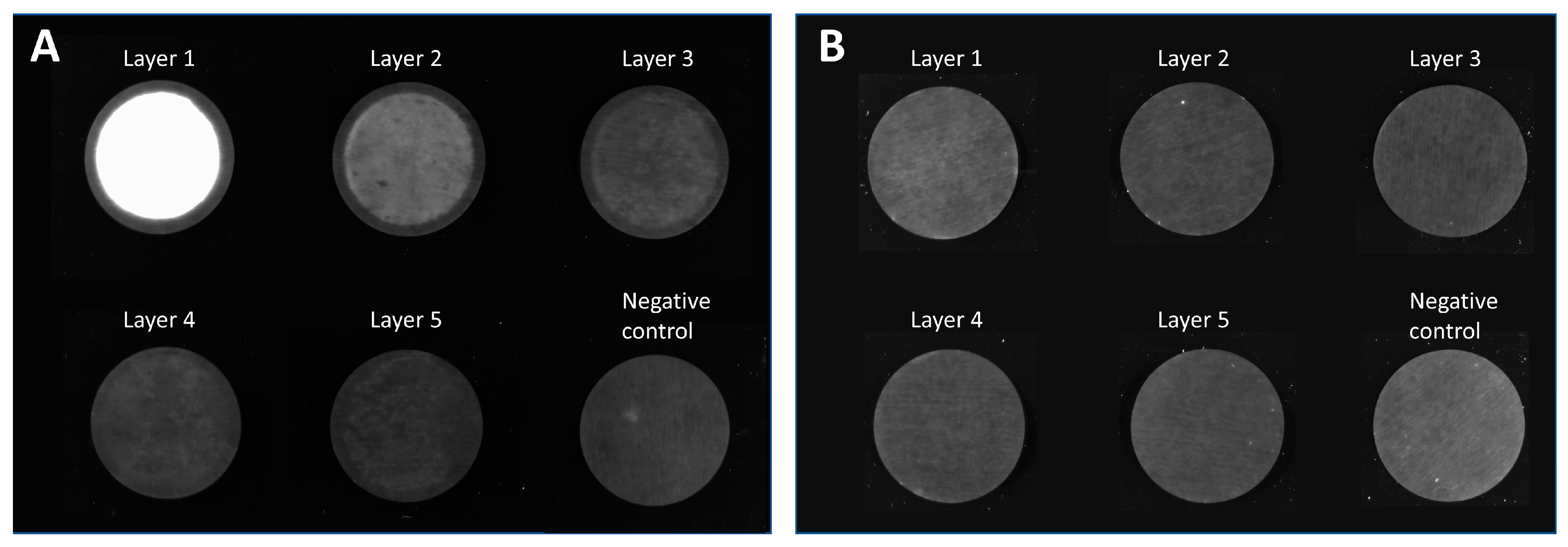 Membranes 13 00149 g002