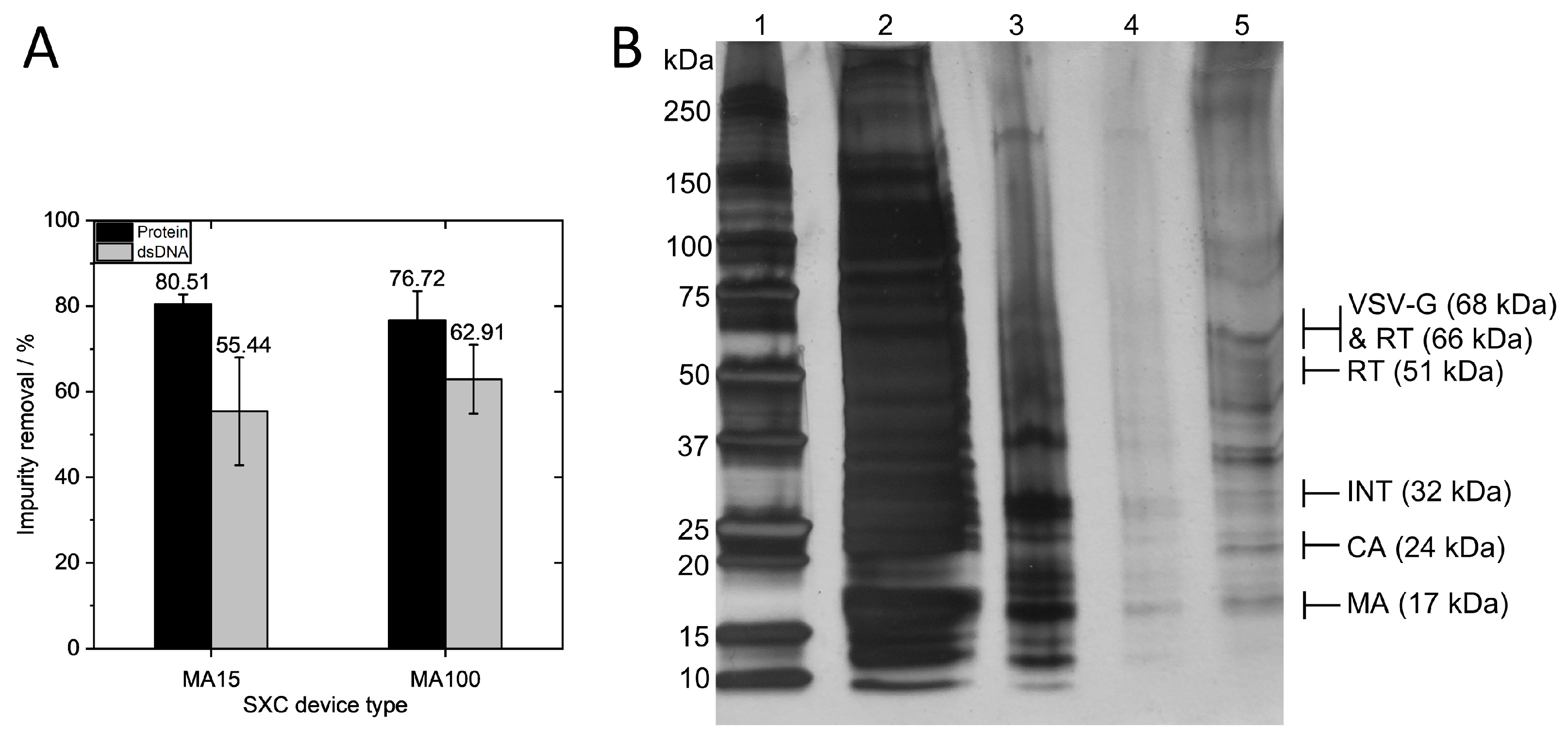 Membranes 13 00149 g004