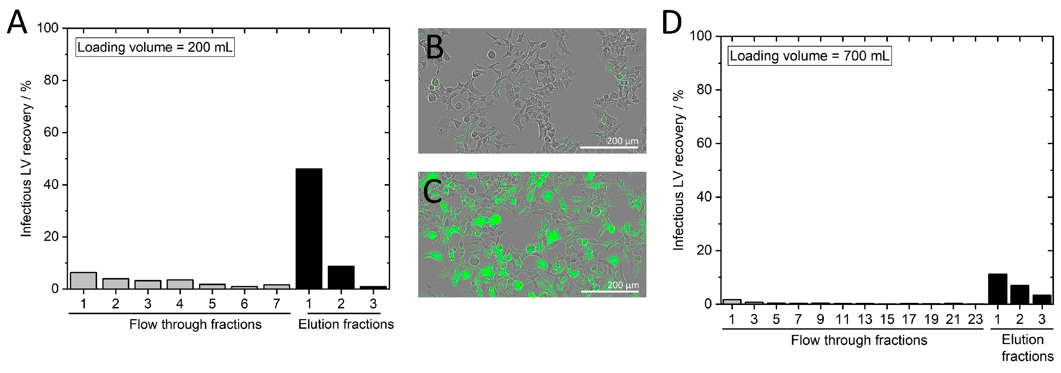 Membranes 13 00149 g005