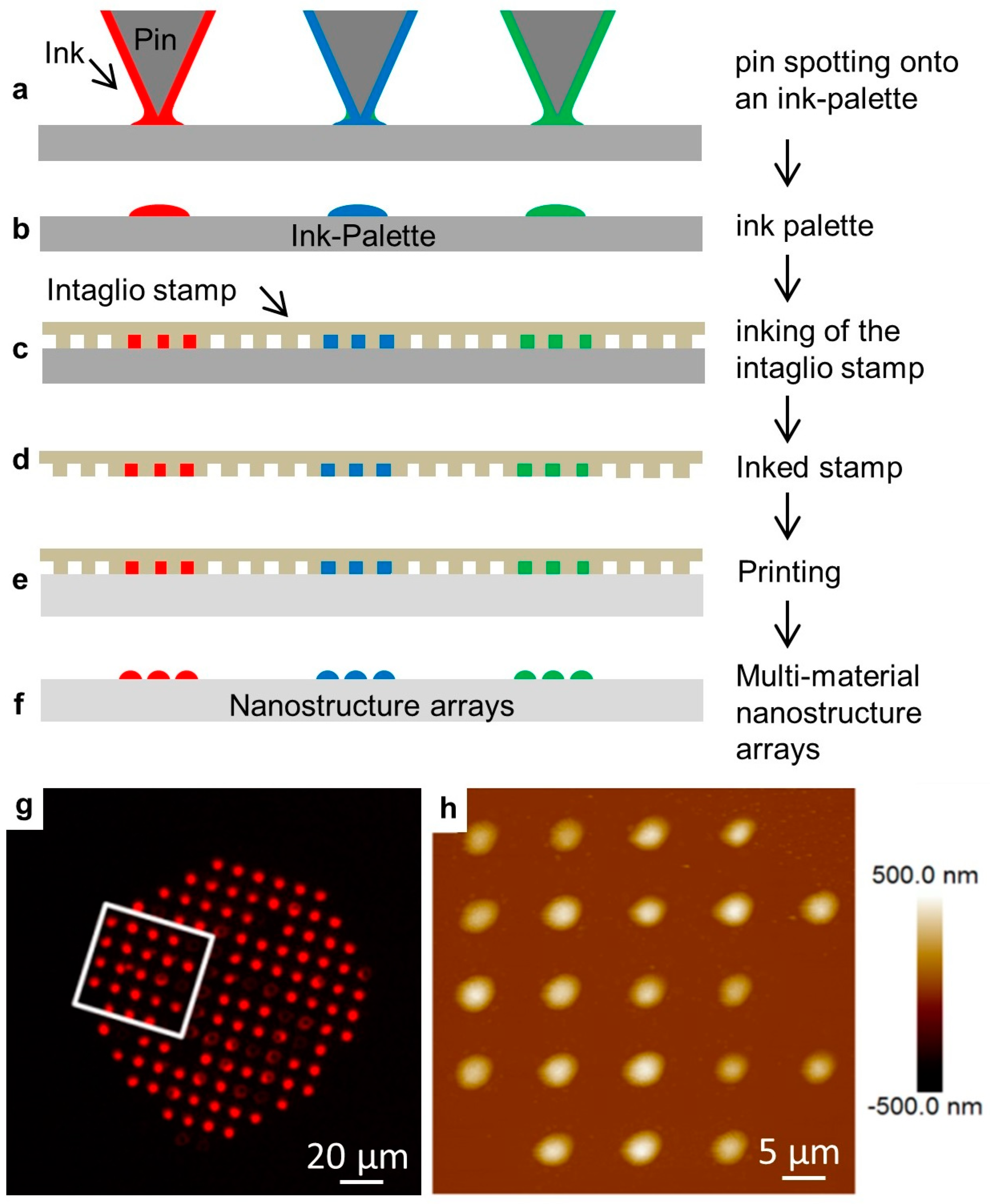 Membranes 13 00151 g003 Membranes 13 00151 g003