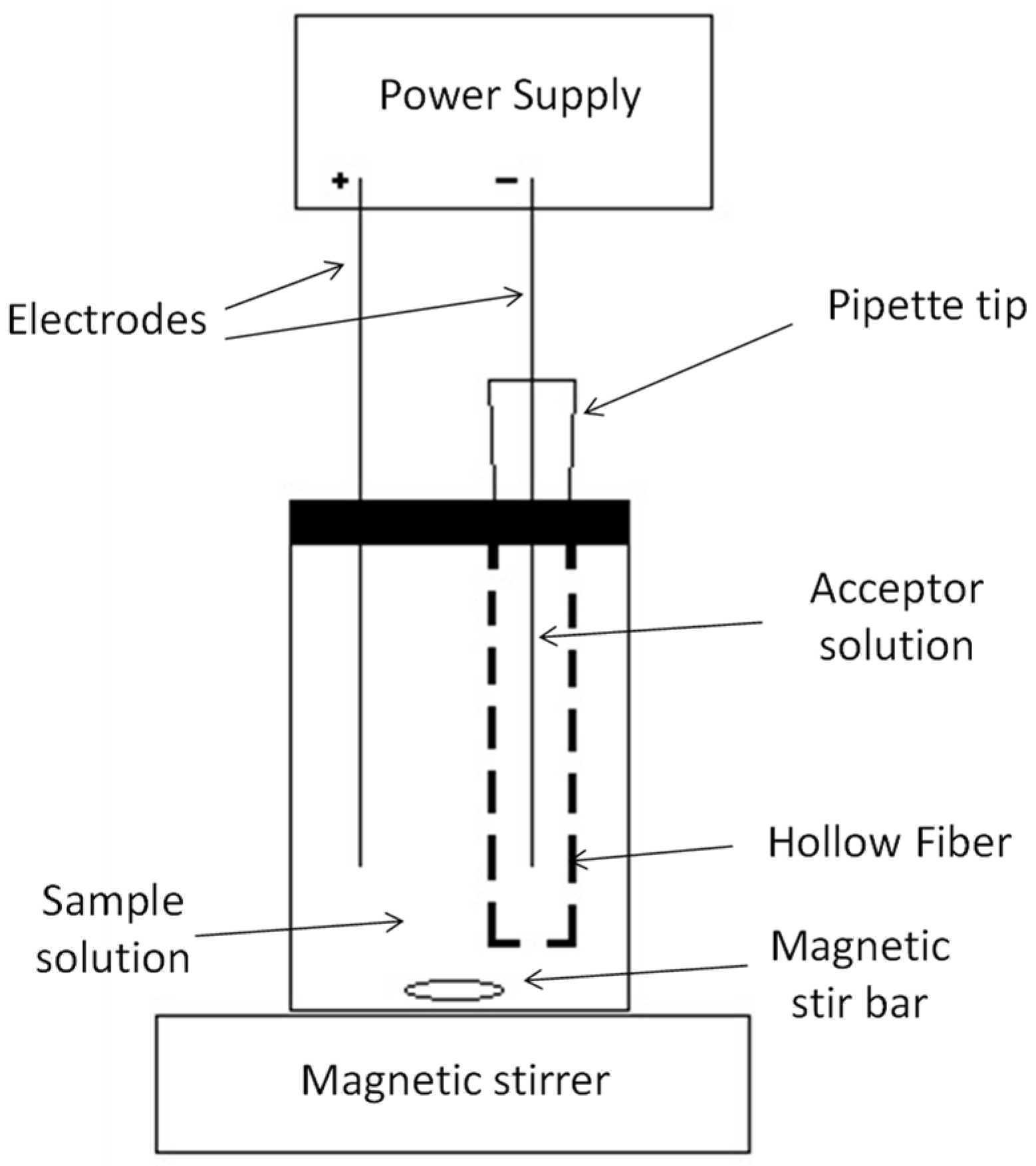 Membranes 13 00152 g001