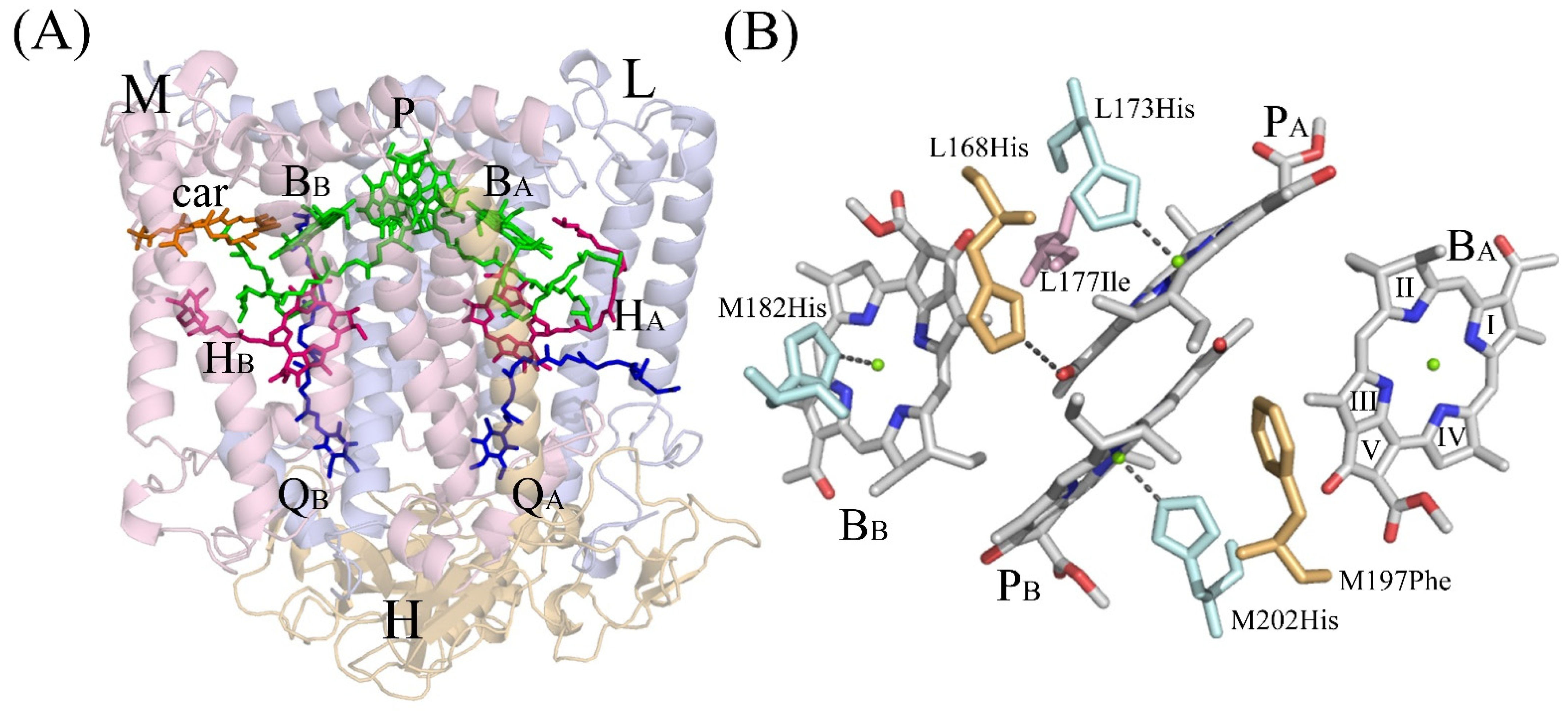 Membranes 13 00157 g001