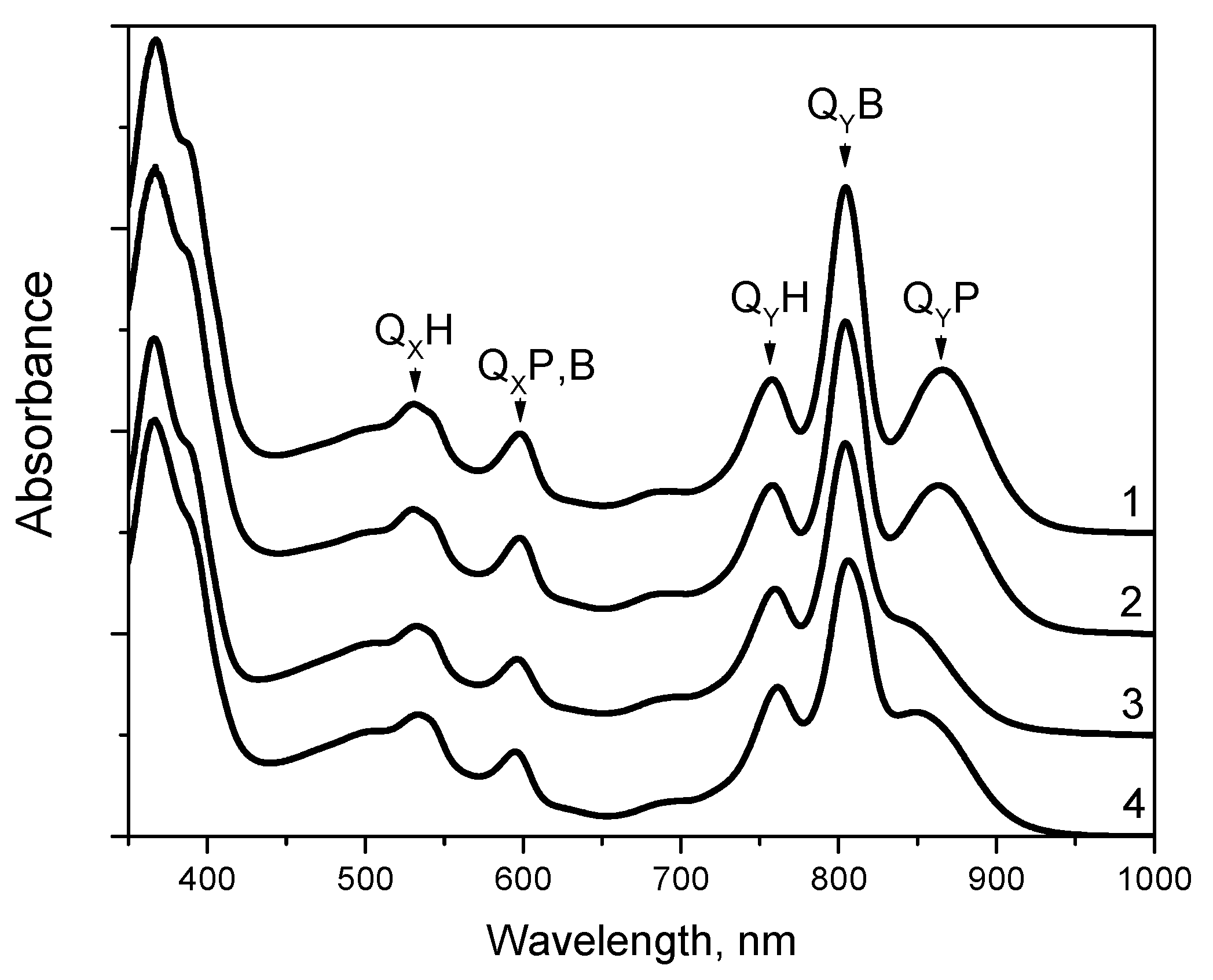 Membranes 13 00157 g002