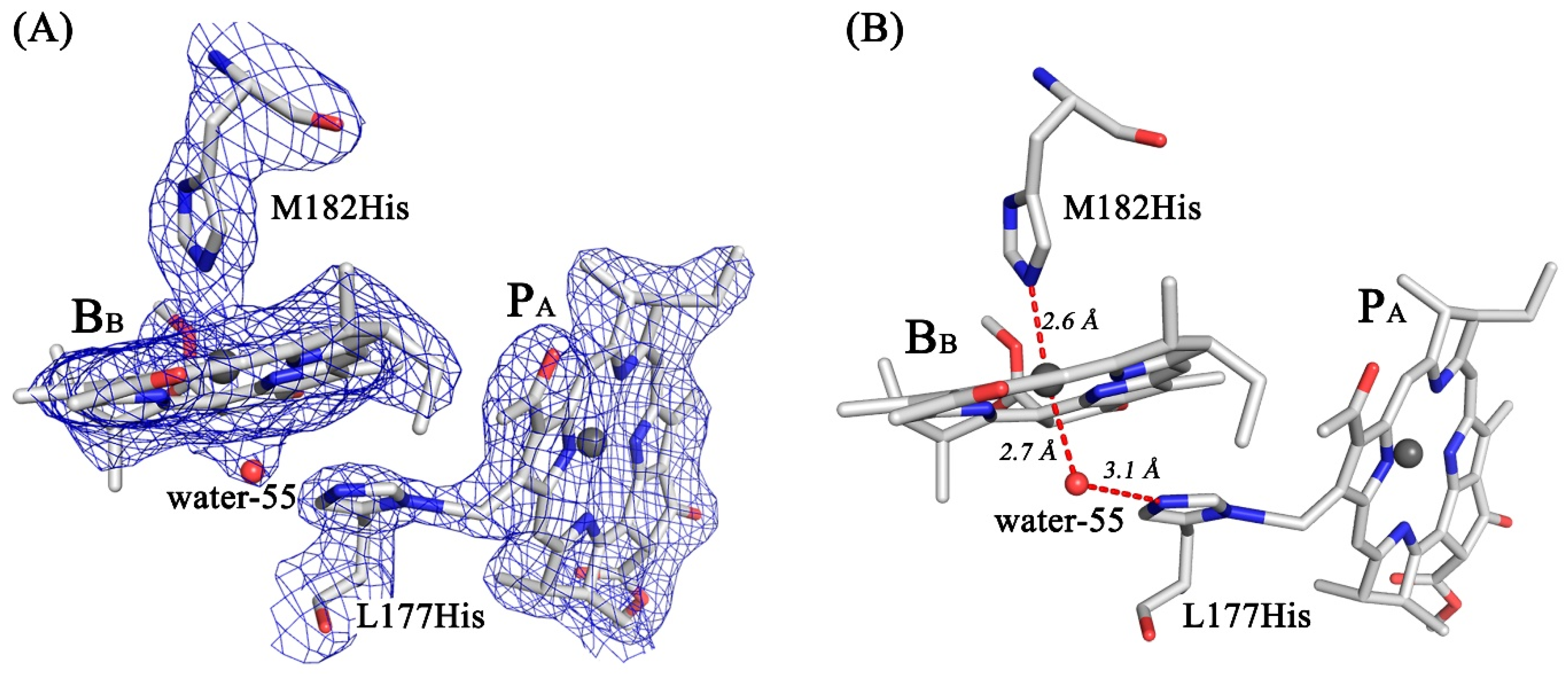 Membranes 13 00157 g004