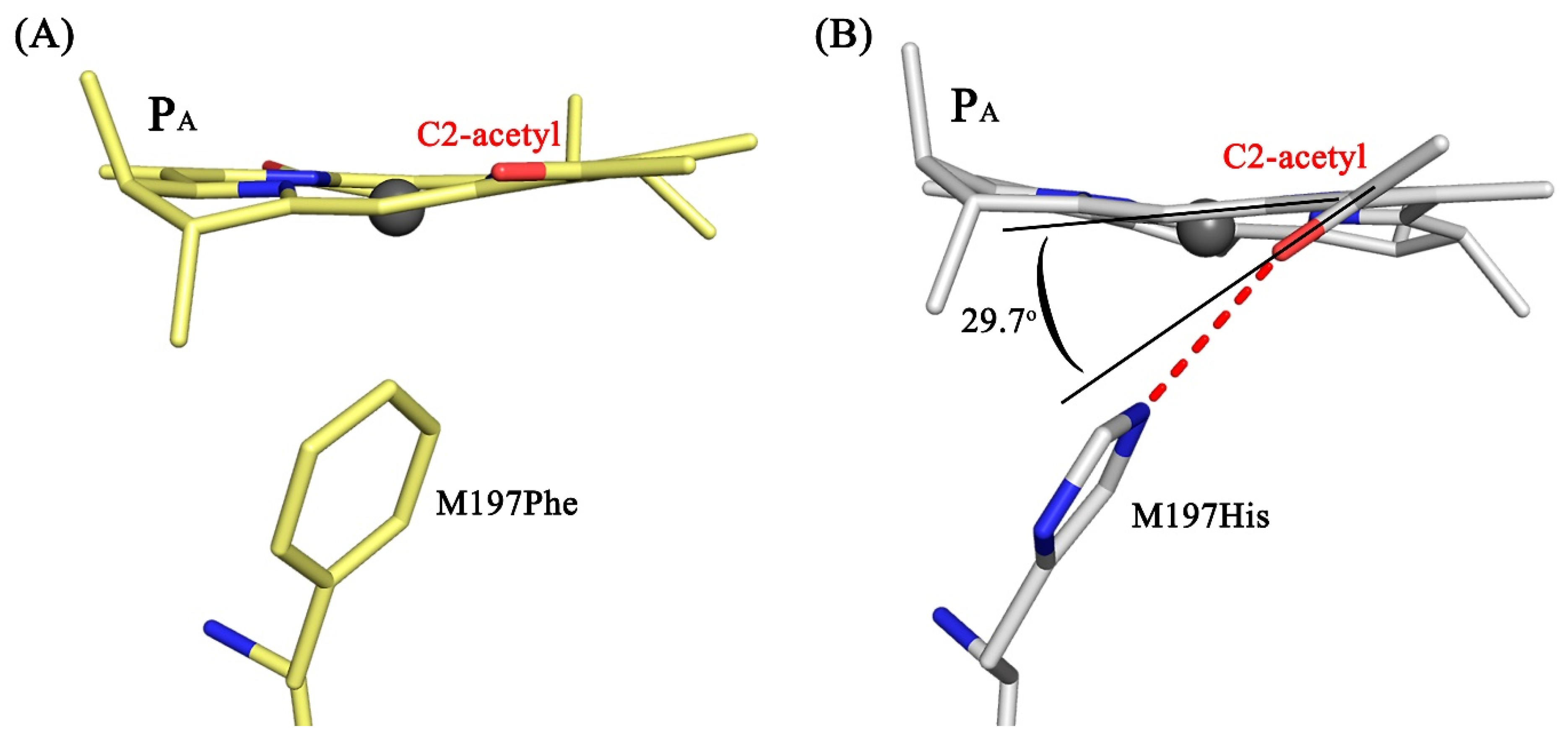 Membranes 13 00157 g005