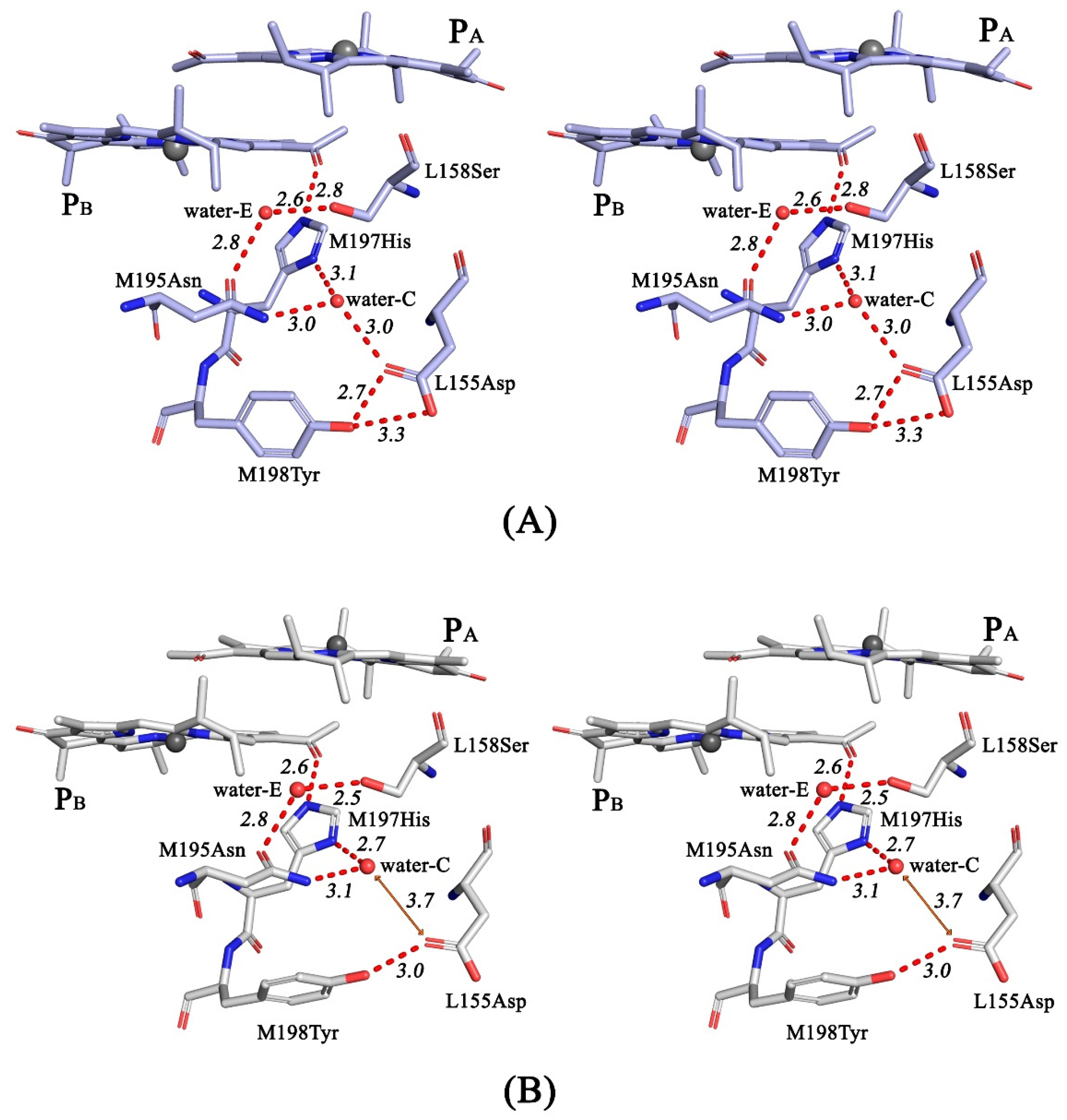 Membranes 13 00157 g006