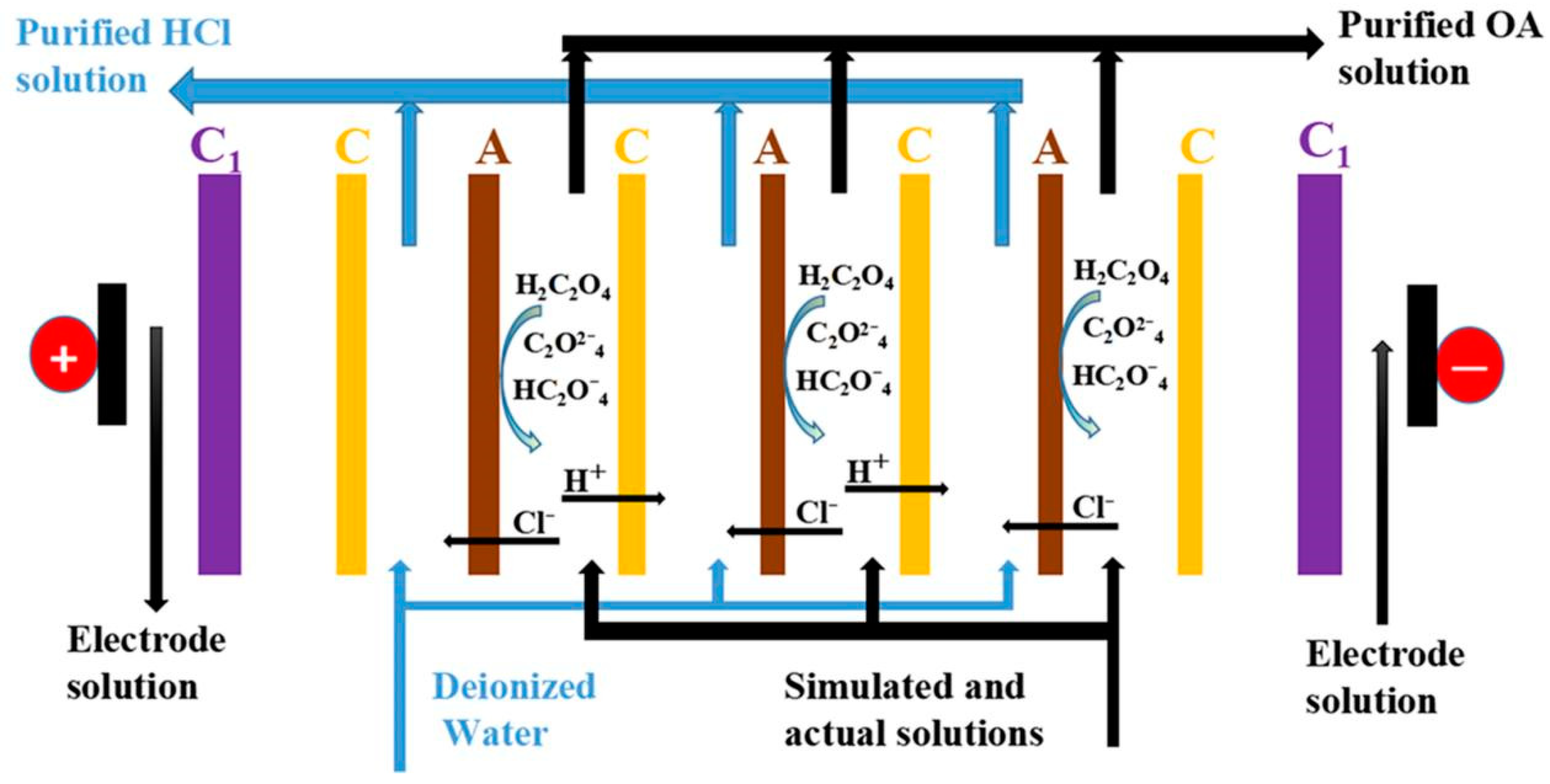 Membranes 13 00162 g001