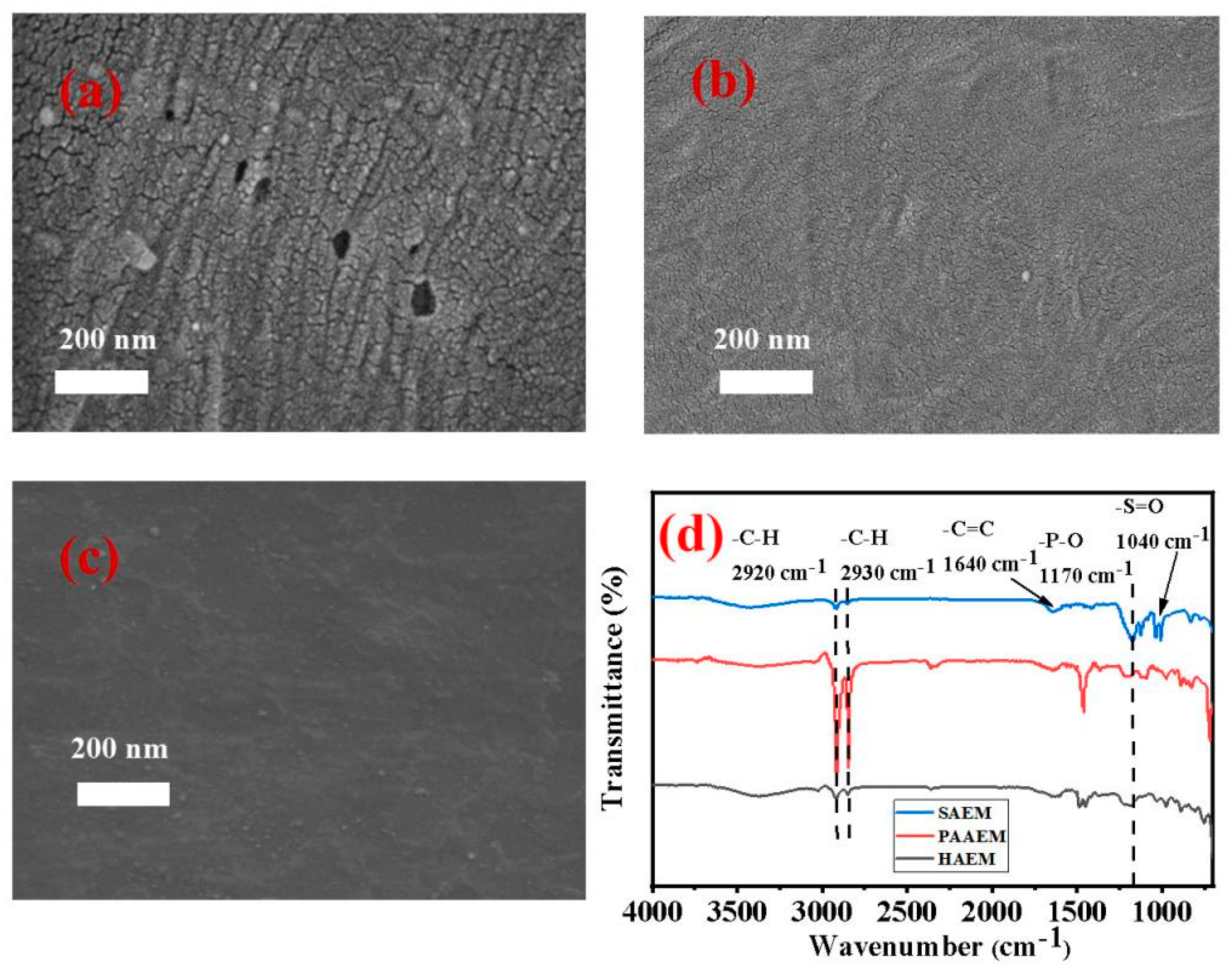 Membranes 13 00162 g003