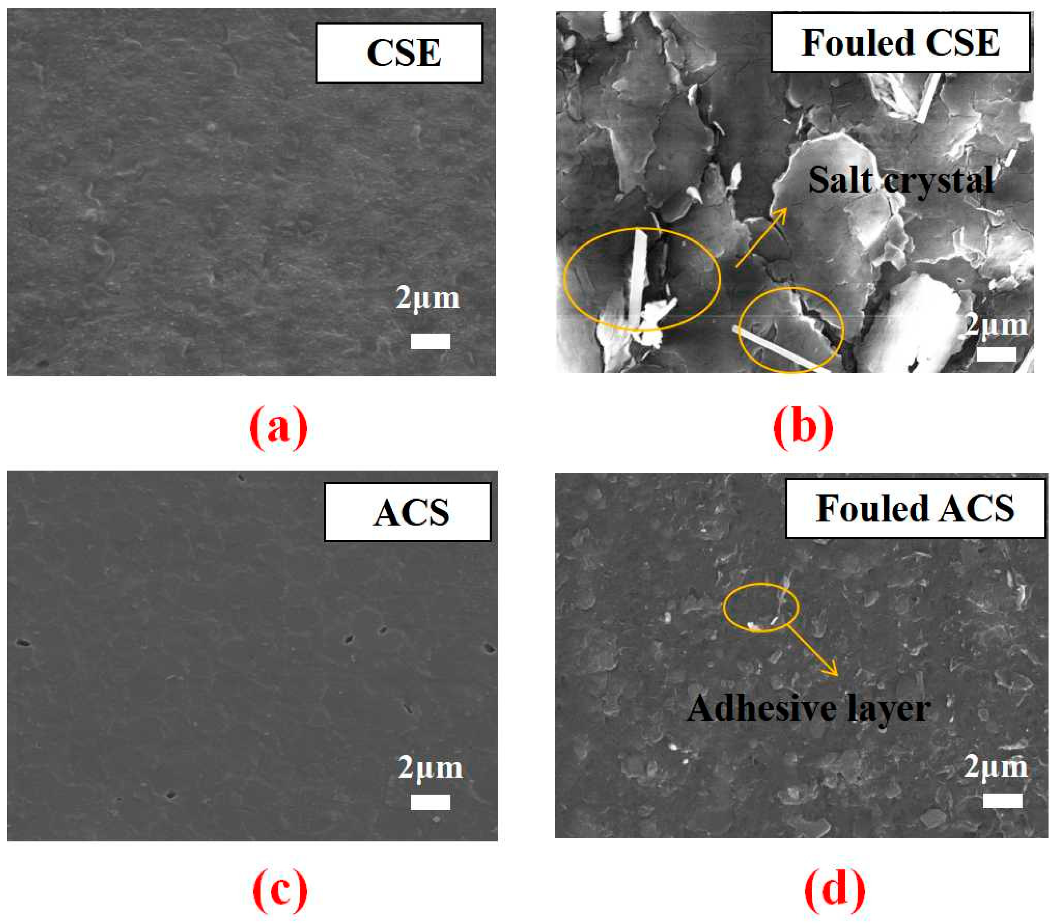 Membranes 13 00162 g007