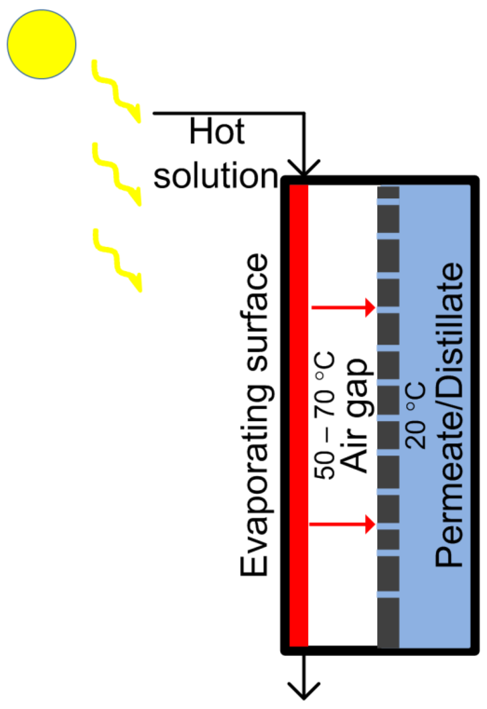 Membranes 13 00163 g001