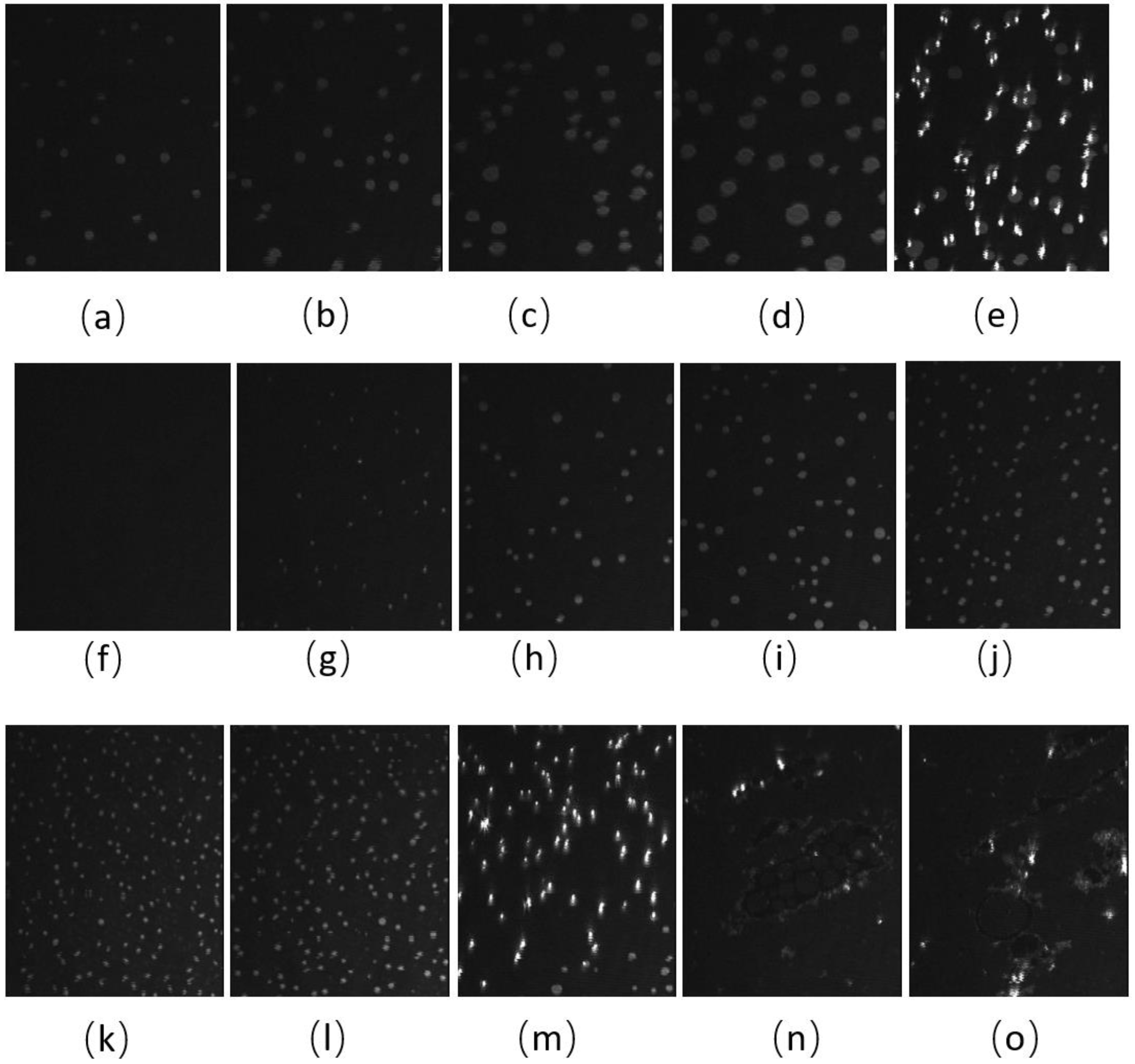 Membranes 13 00165 g004 Membranes 13 00165 g004