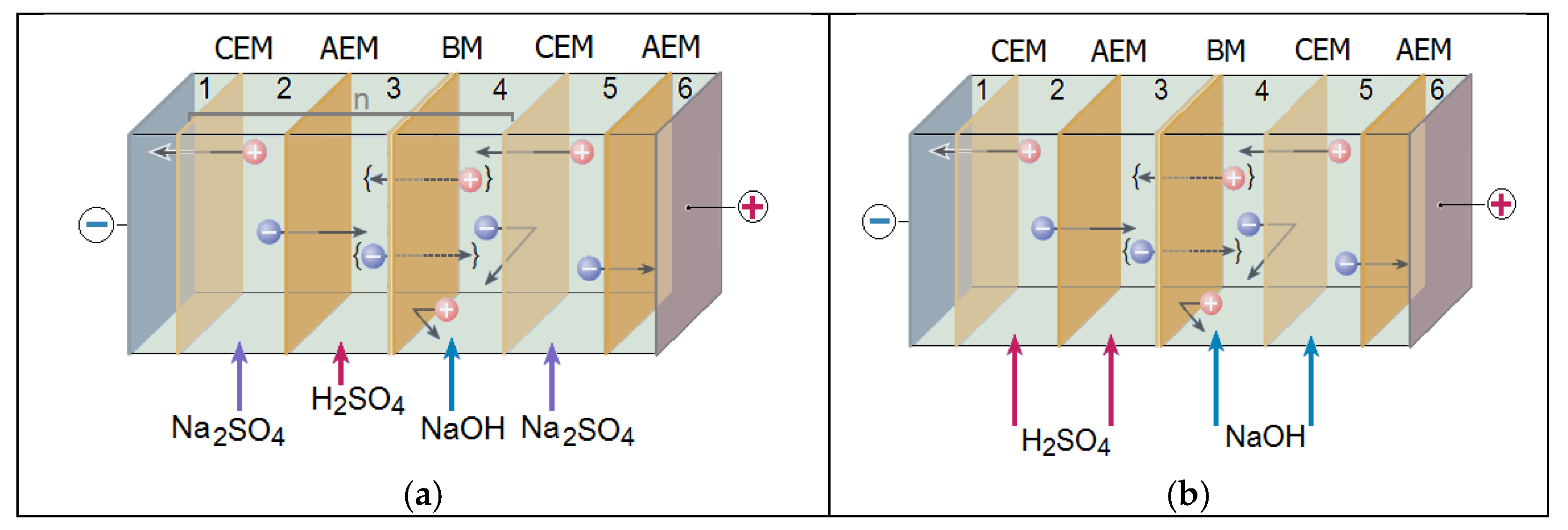 Membranes 13 00172 g003 Membranes 13 00172 g003