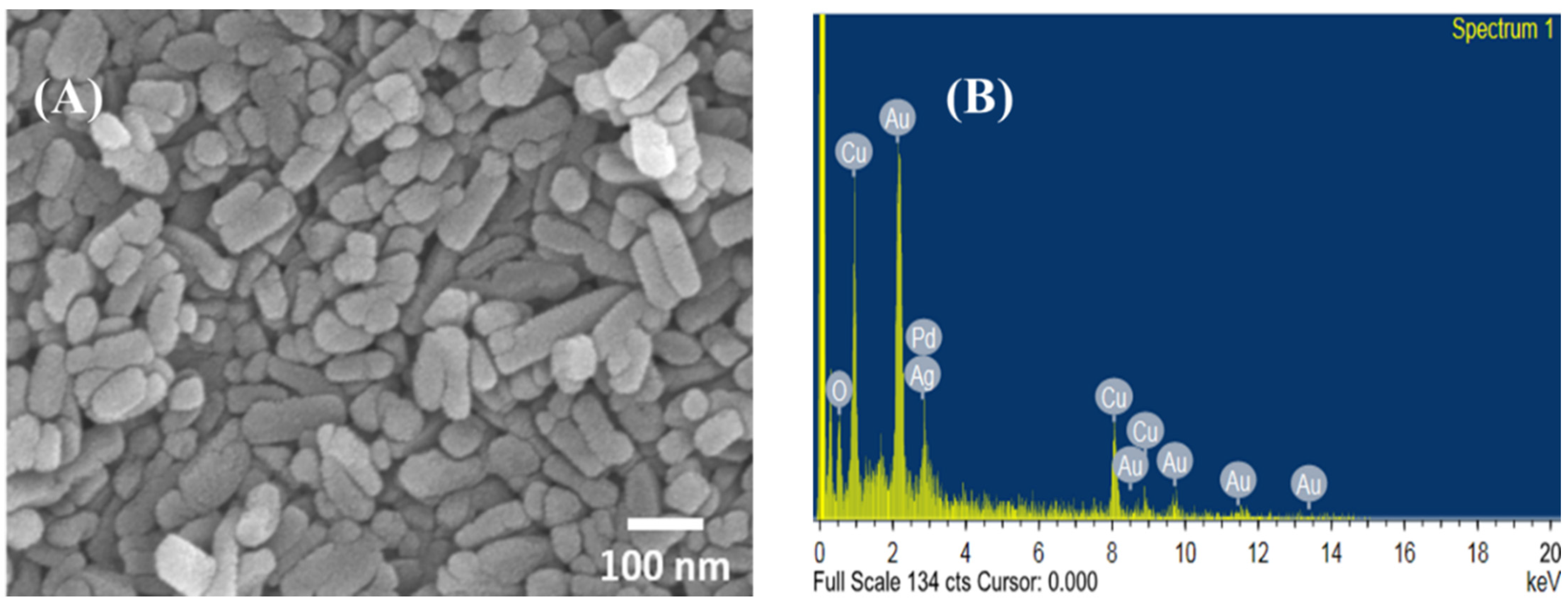 Membranes 13 00176 g001
