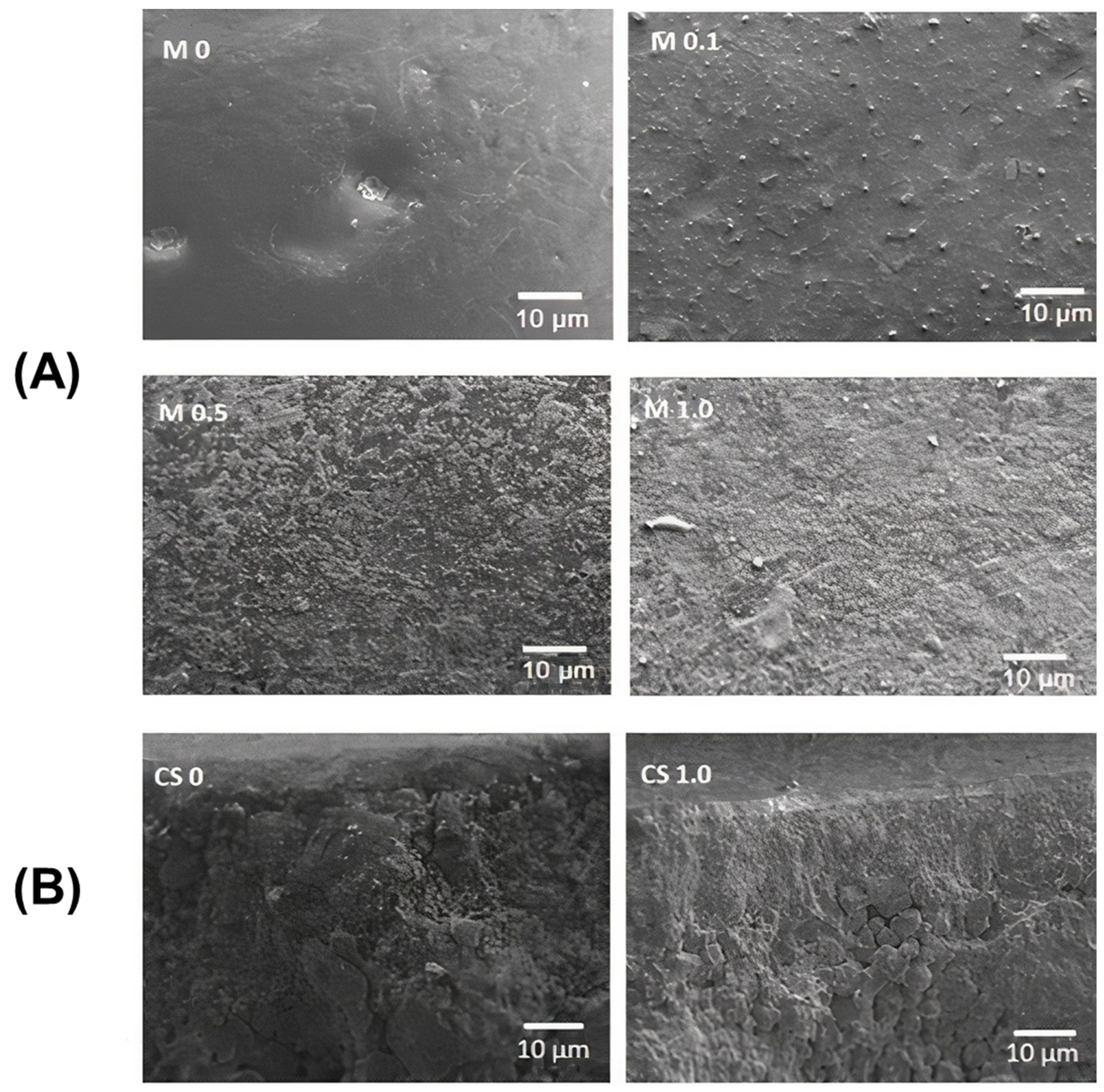 Membranes 13 00176 g004