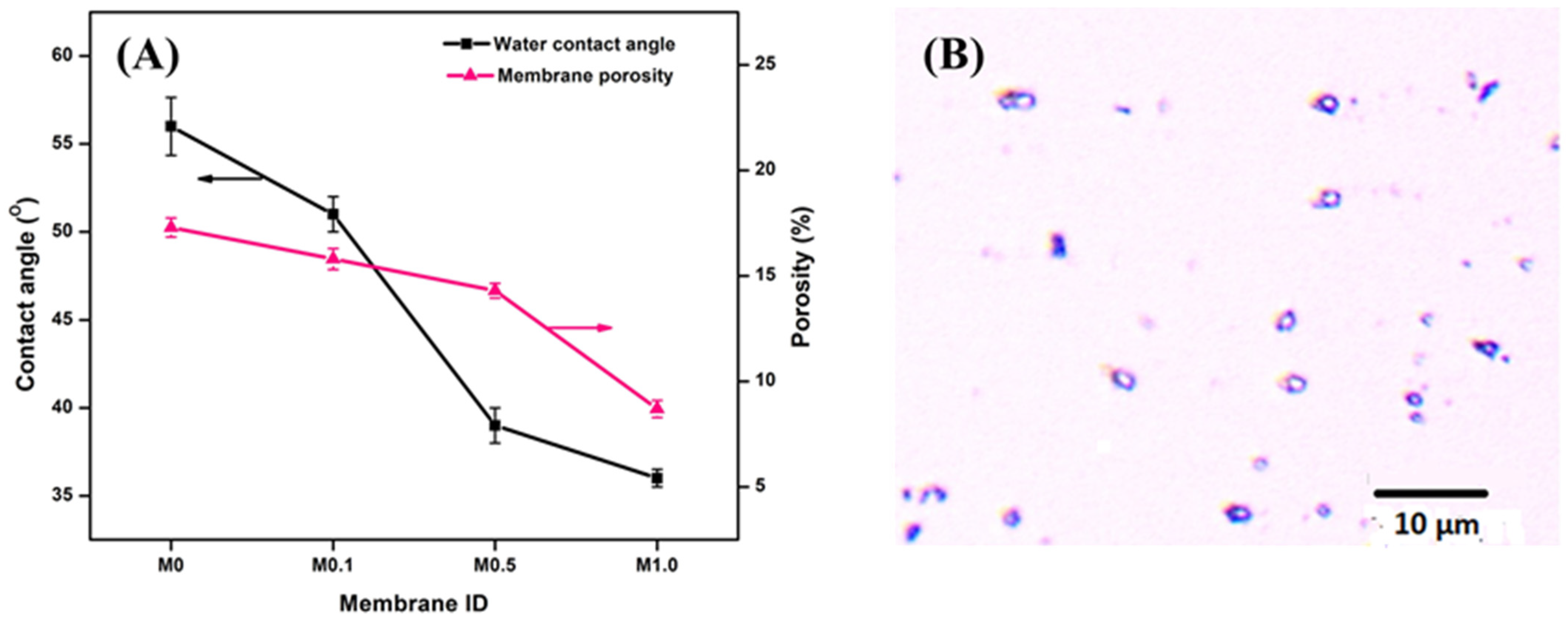 Membranes 13 00176 g006