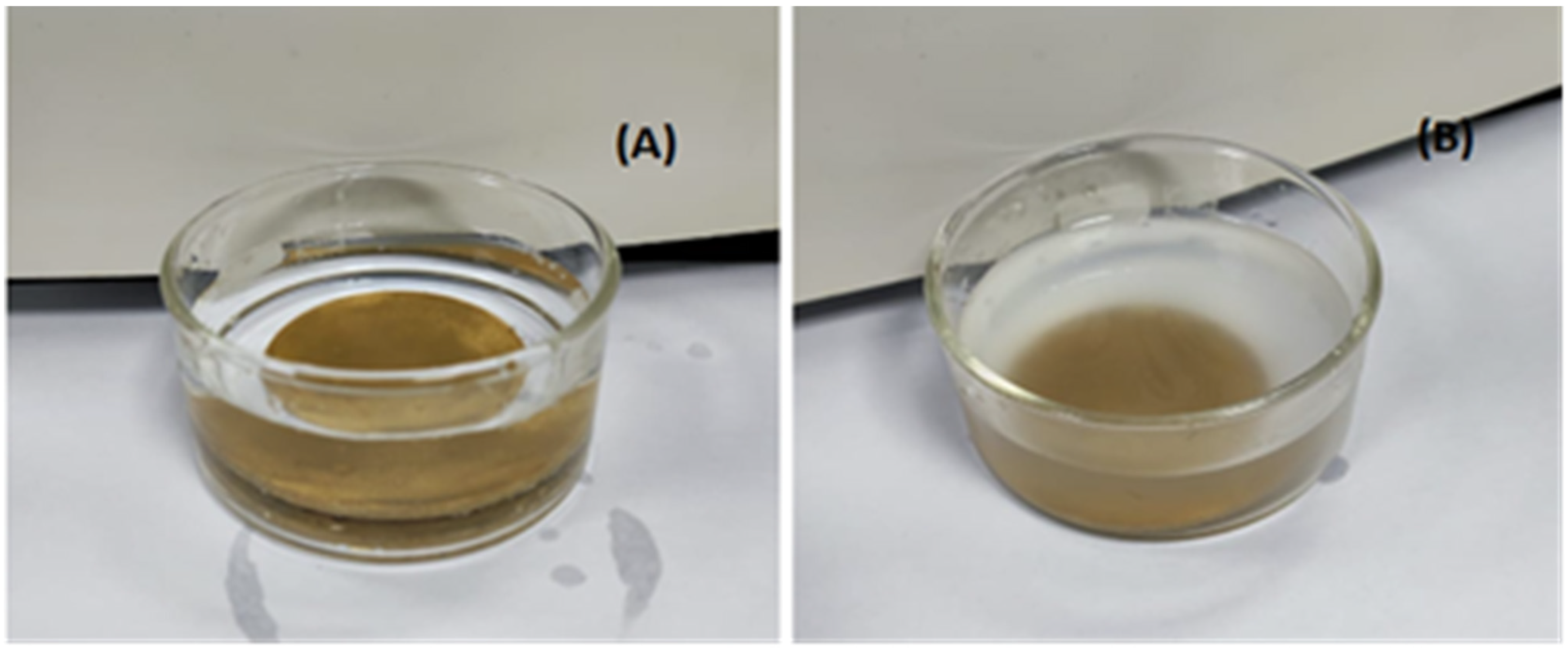 Membranes 13 00176 g009