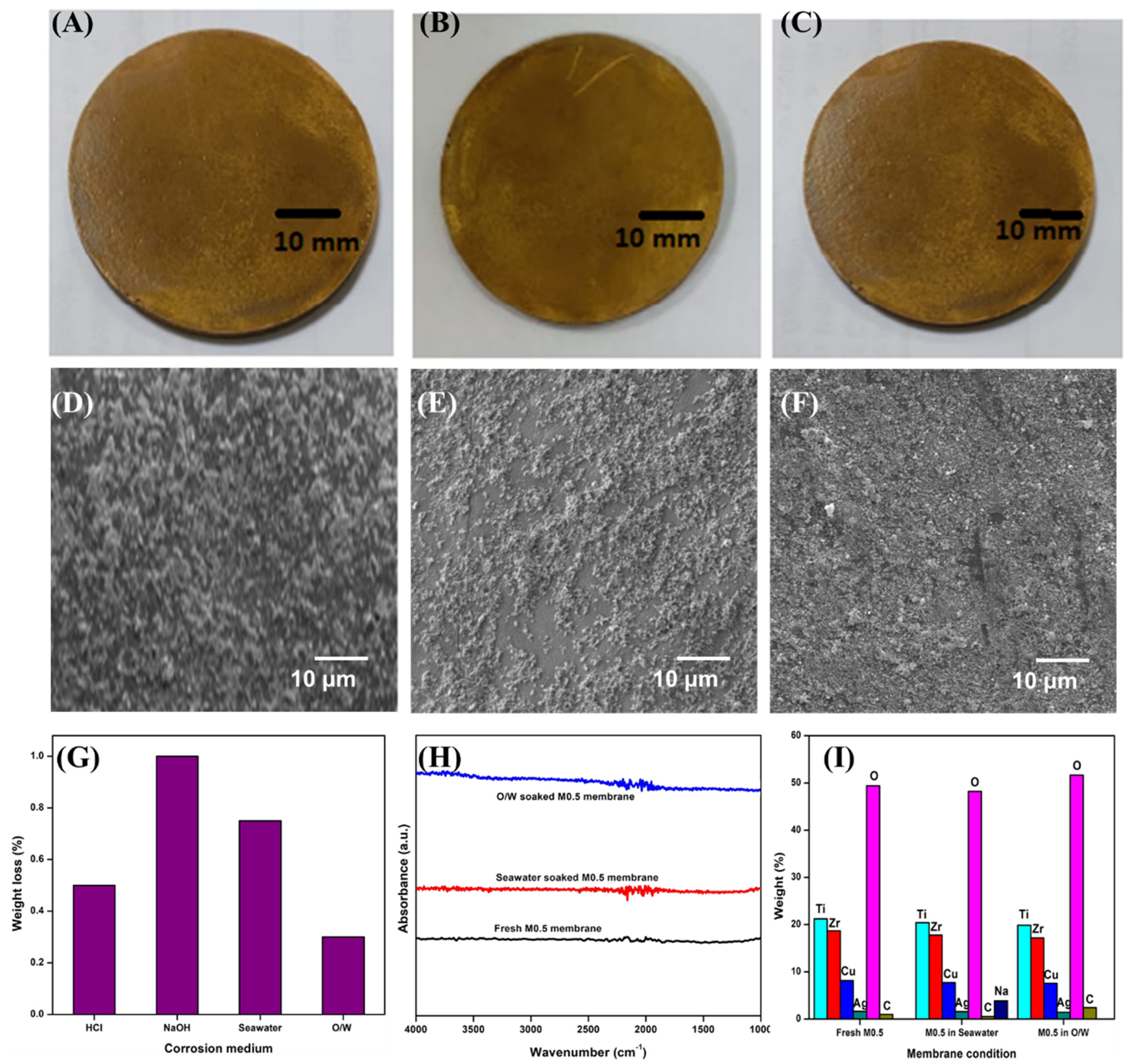 Membranes 13 00176 g010