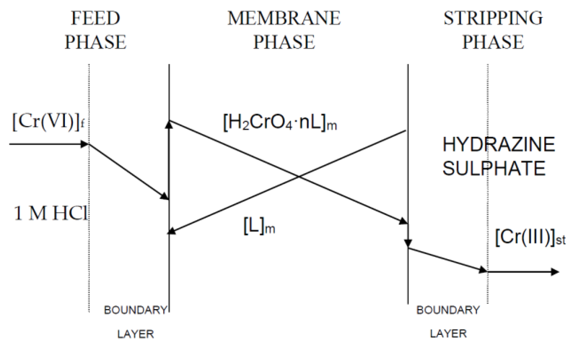 Membranes 13 00177 g001