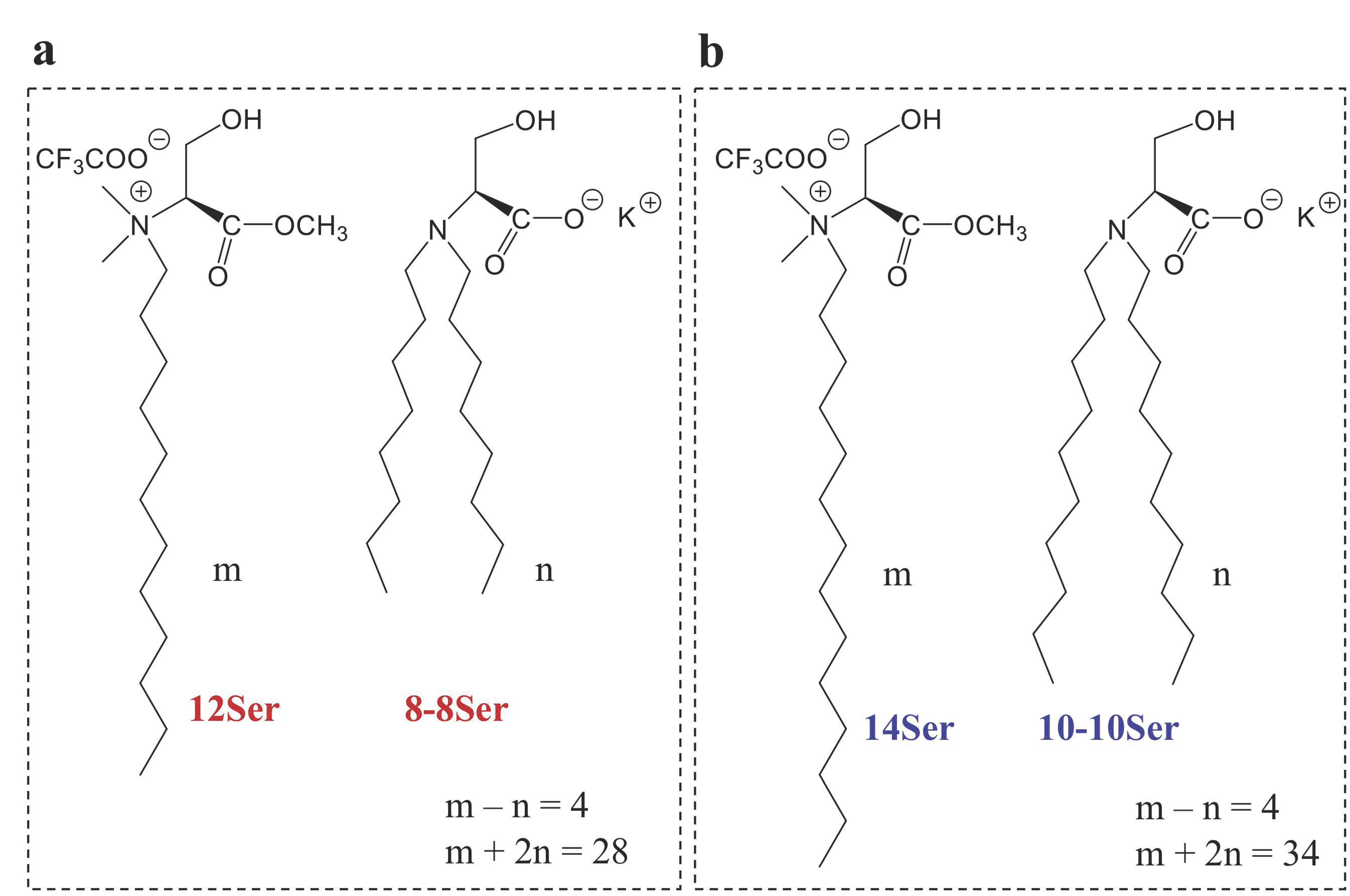 Membranes 13 00178 g001
