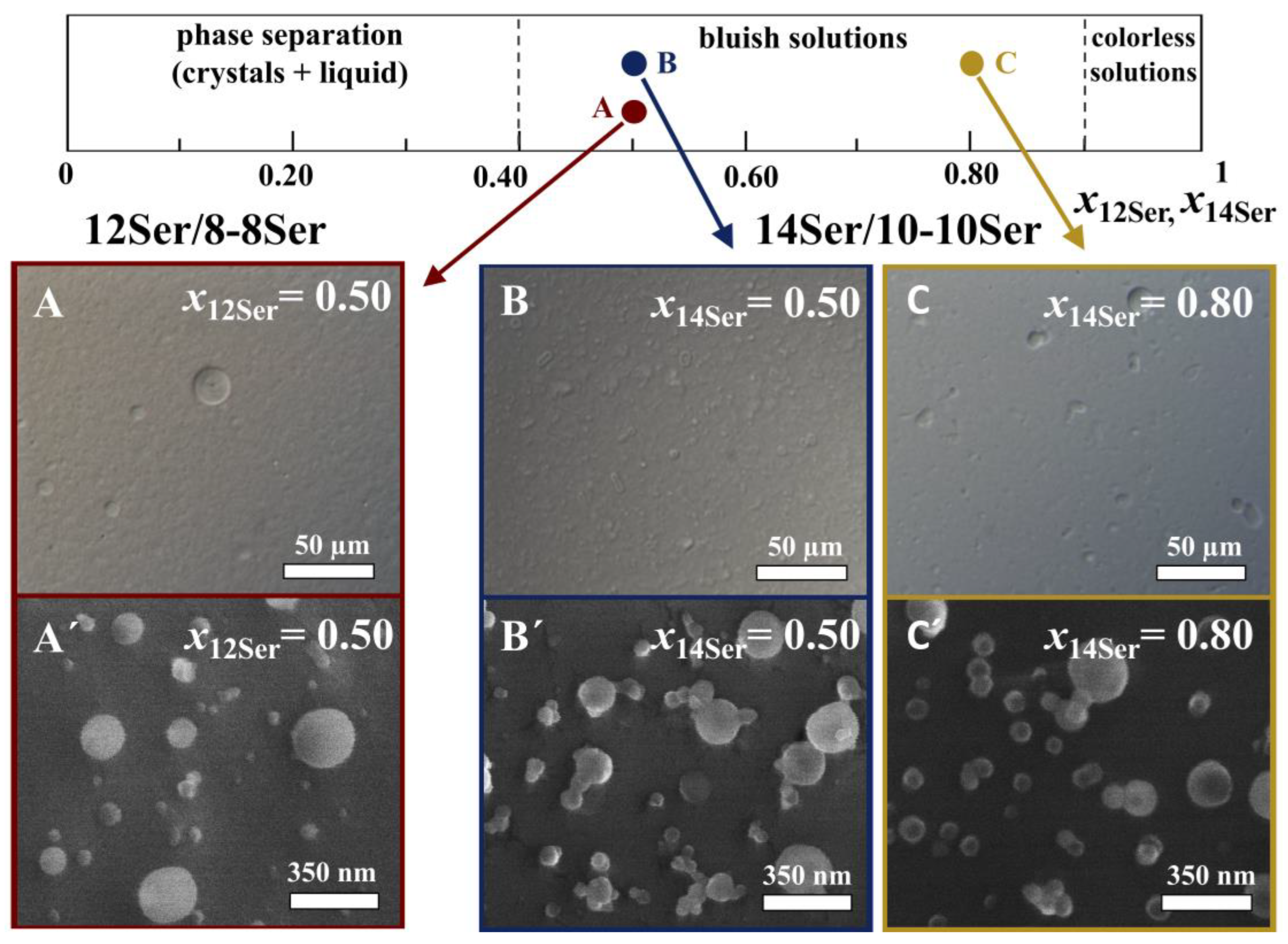 Membranes 13 00178 g002