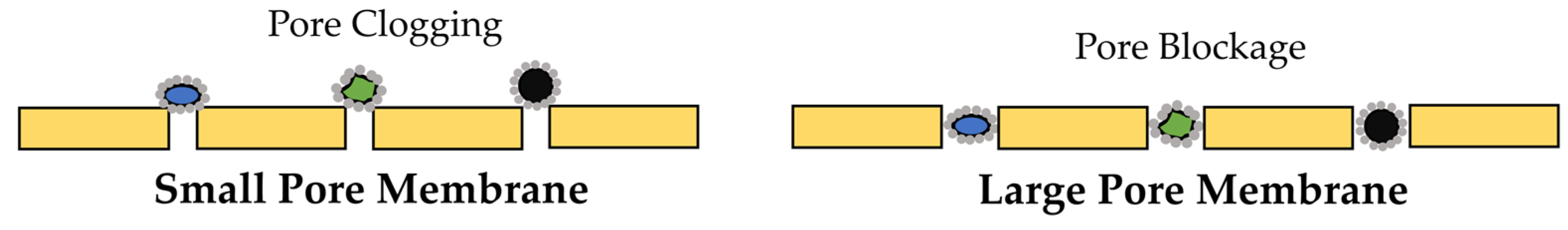 Membranes 13 00181 g005 Membranes 13 00181 g005