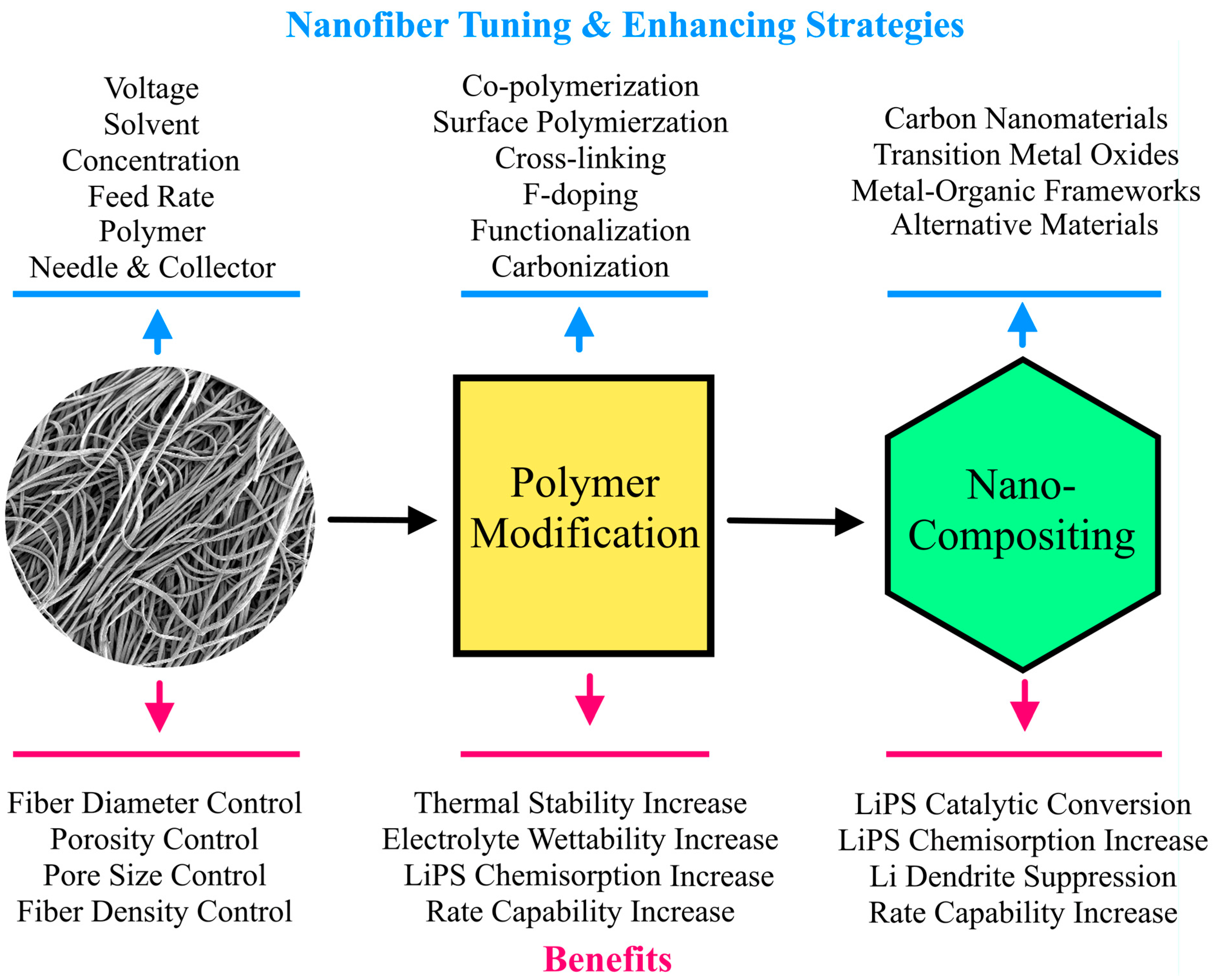 Membranes 13 00183 g001 550