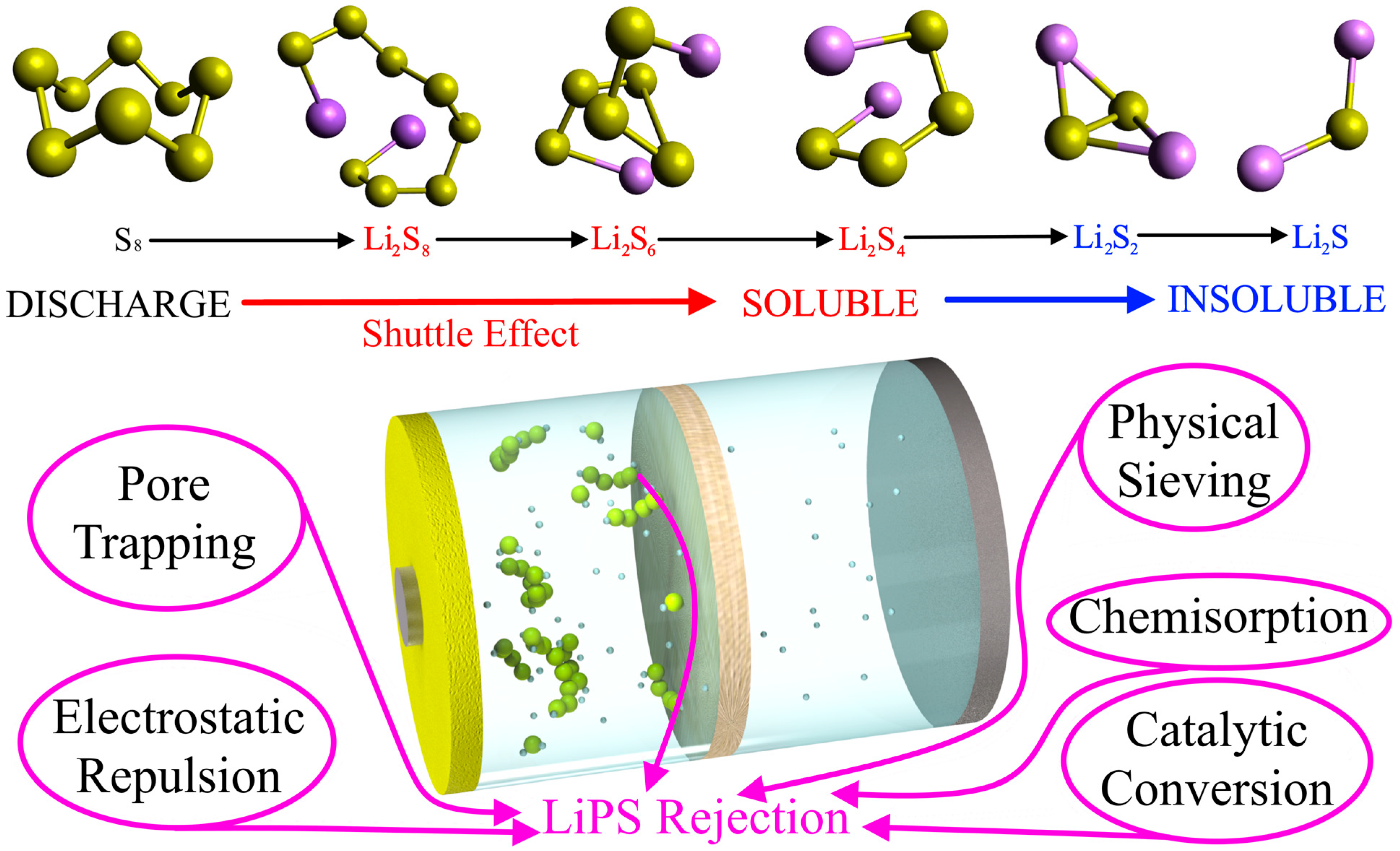 Membranes 13 00183 g002 550