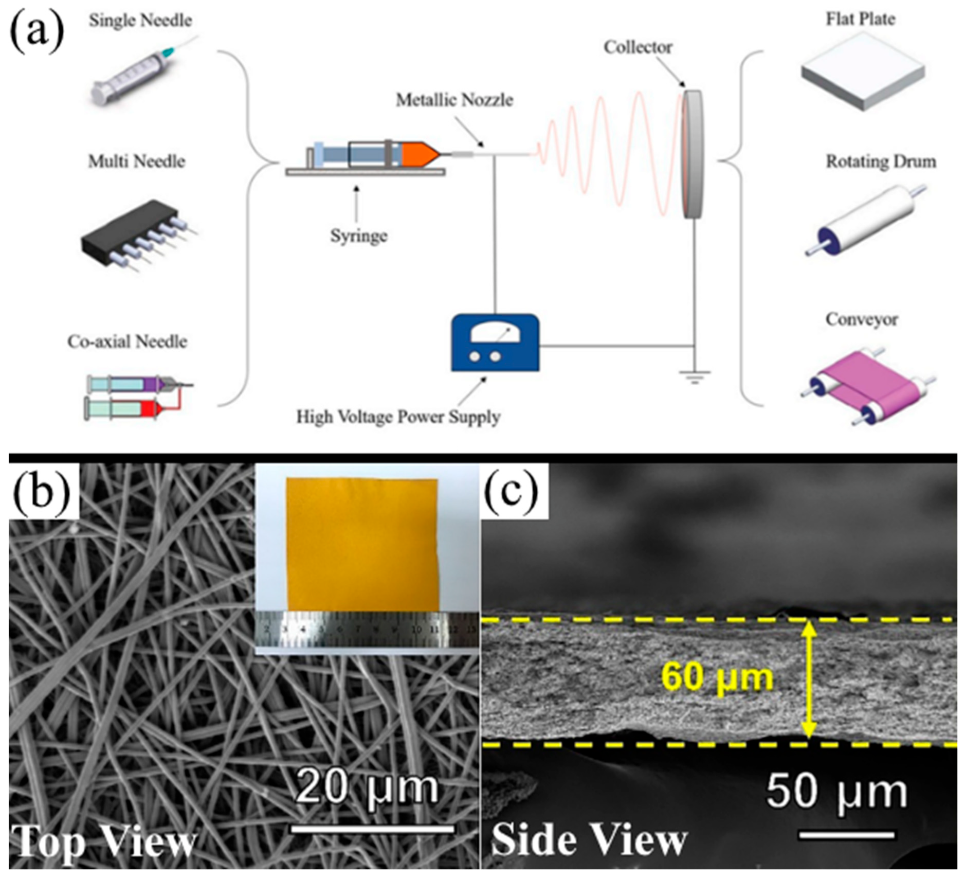 Membranes 13 00183 g003 550