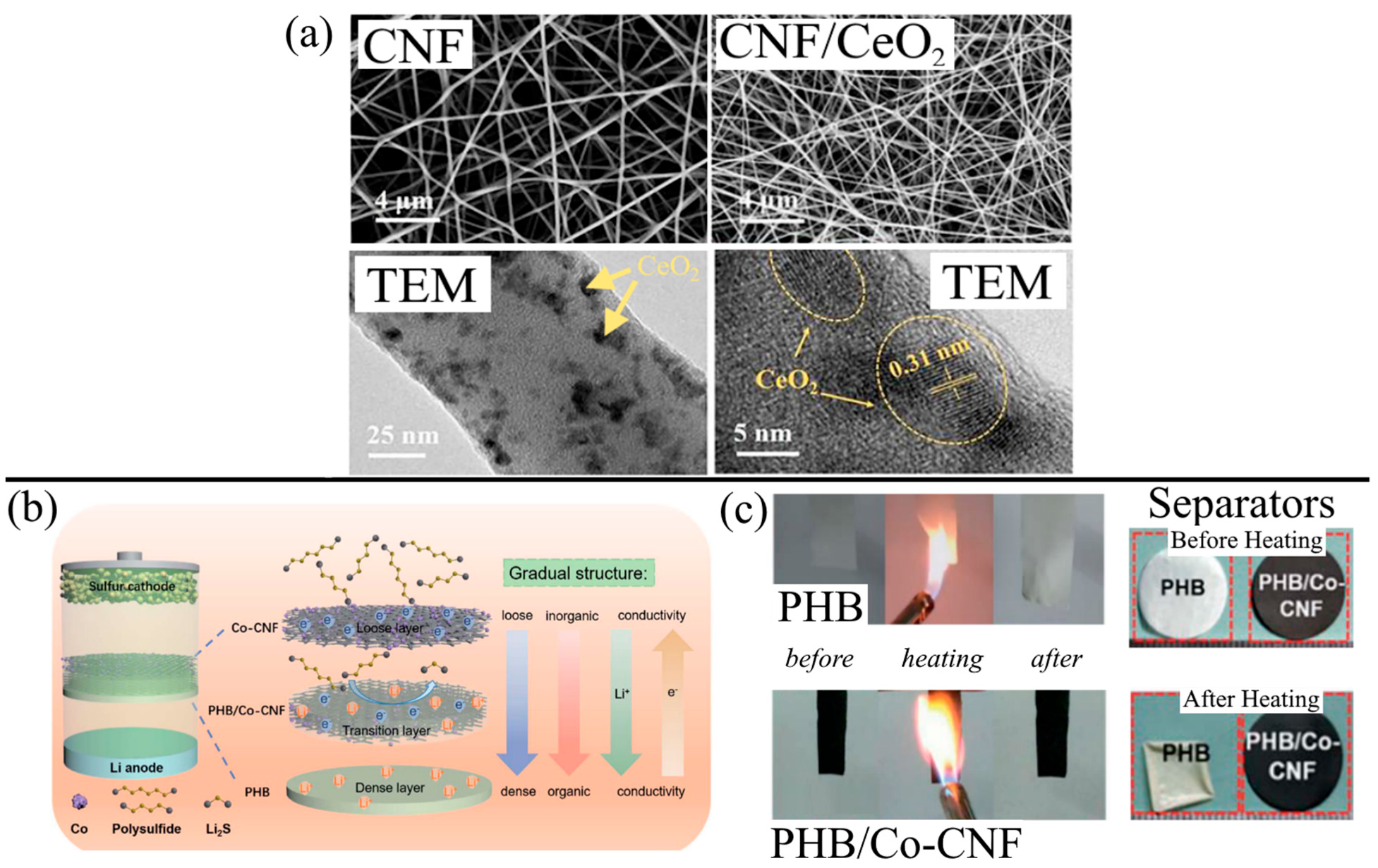 Membranes 13 00183 g006 550