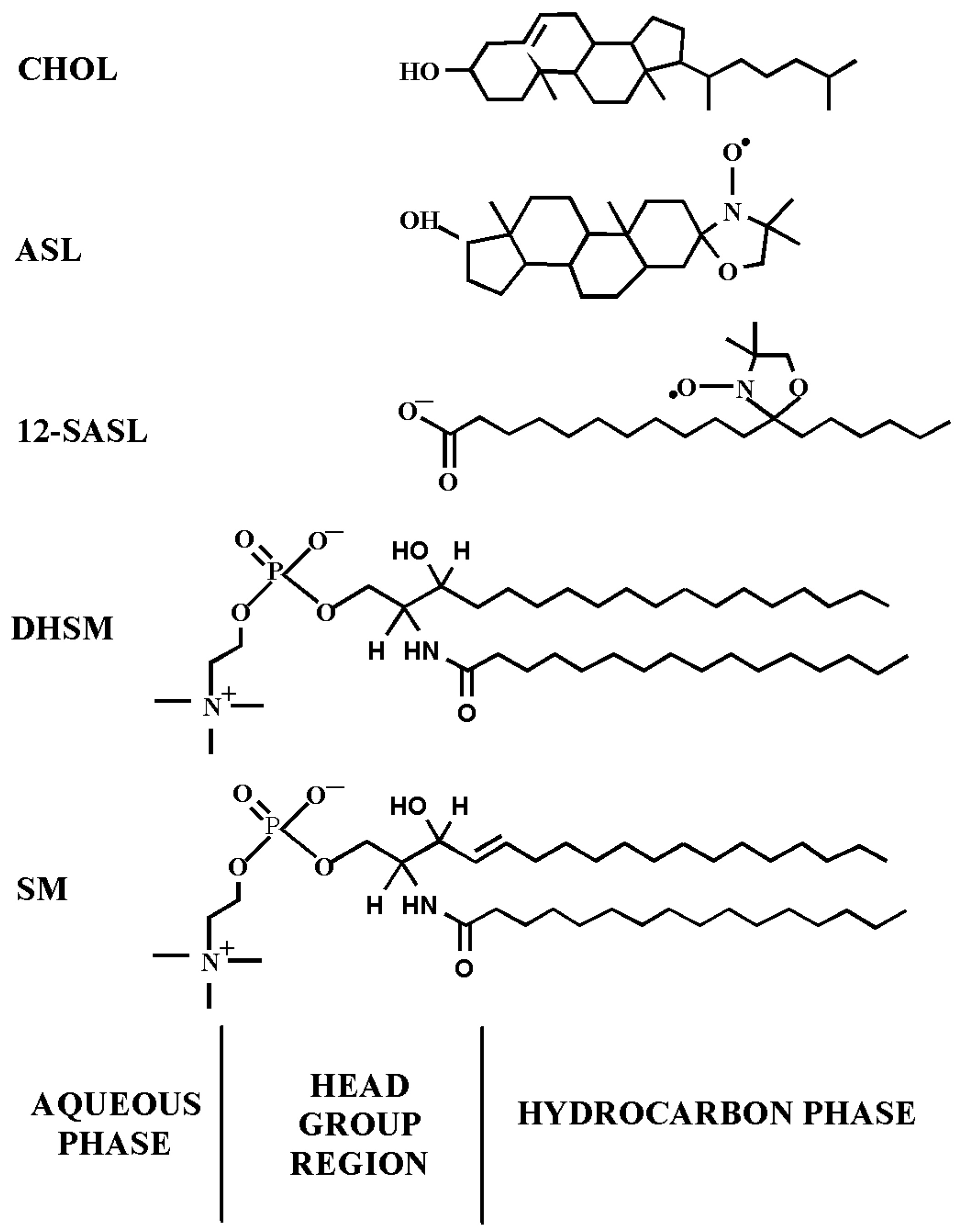 Membranes 13 00189 g001 Membranes 13 00189 g001