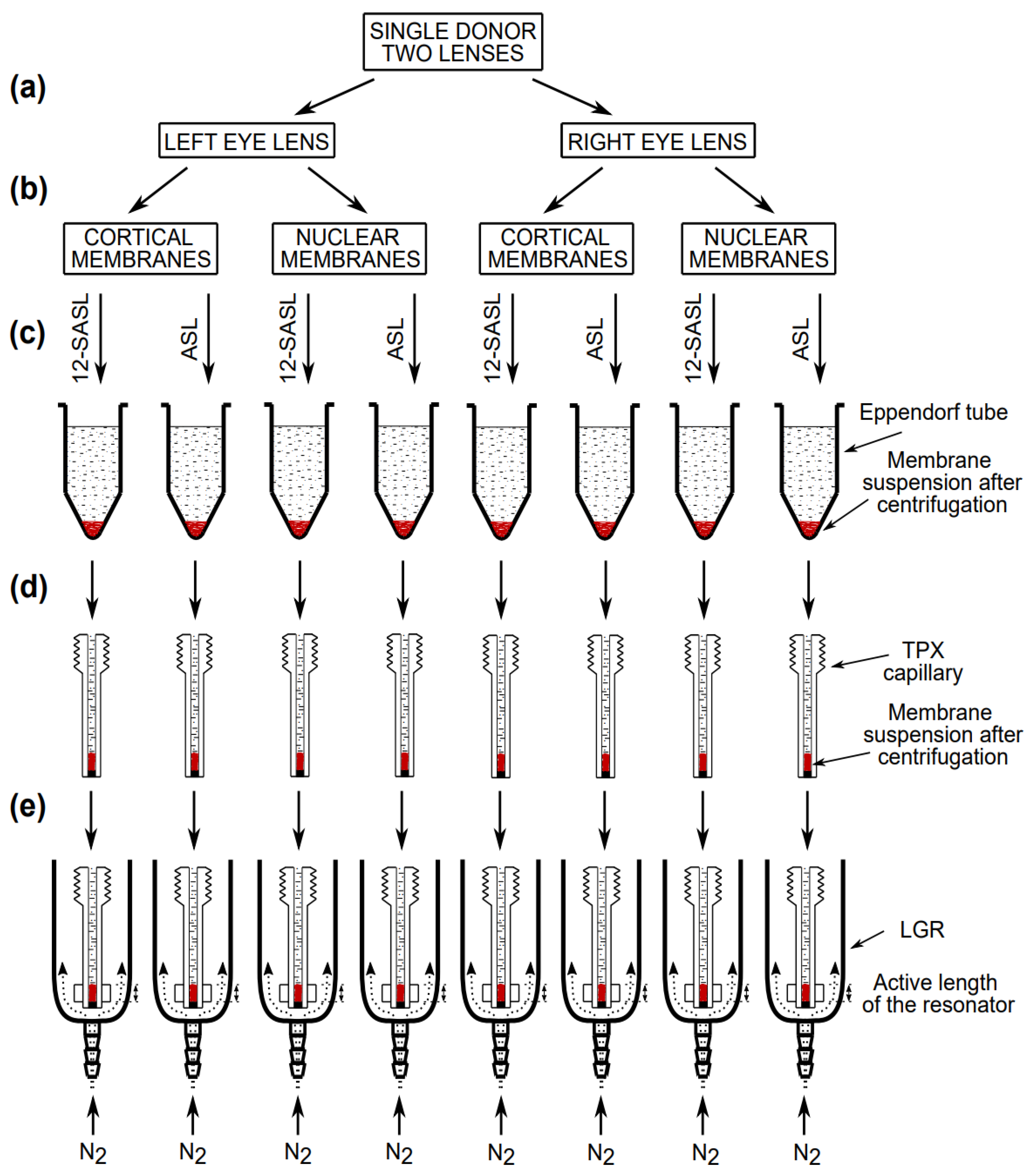 Membranes 13 00189 g002 Membranes 13 00189 g002