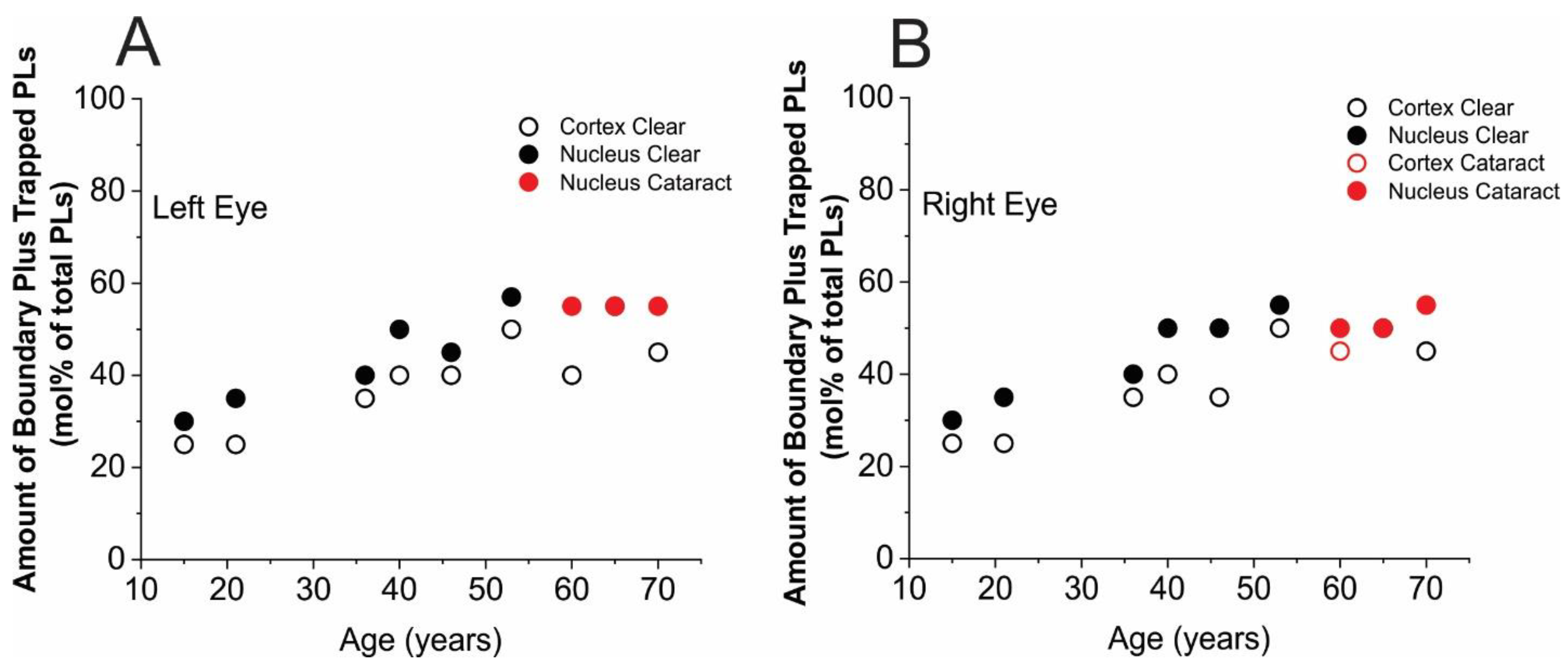 Membranes 13 00189 g004 Membranes 13 00189 g004